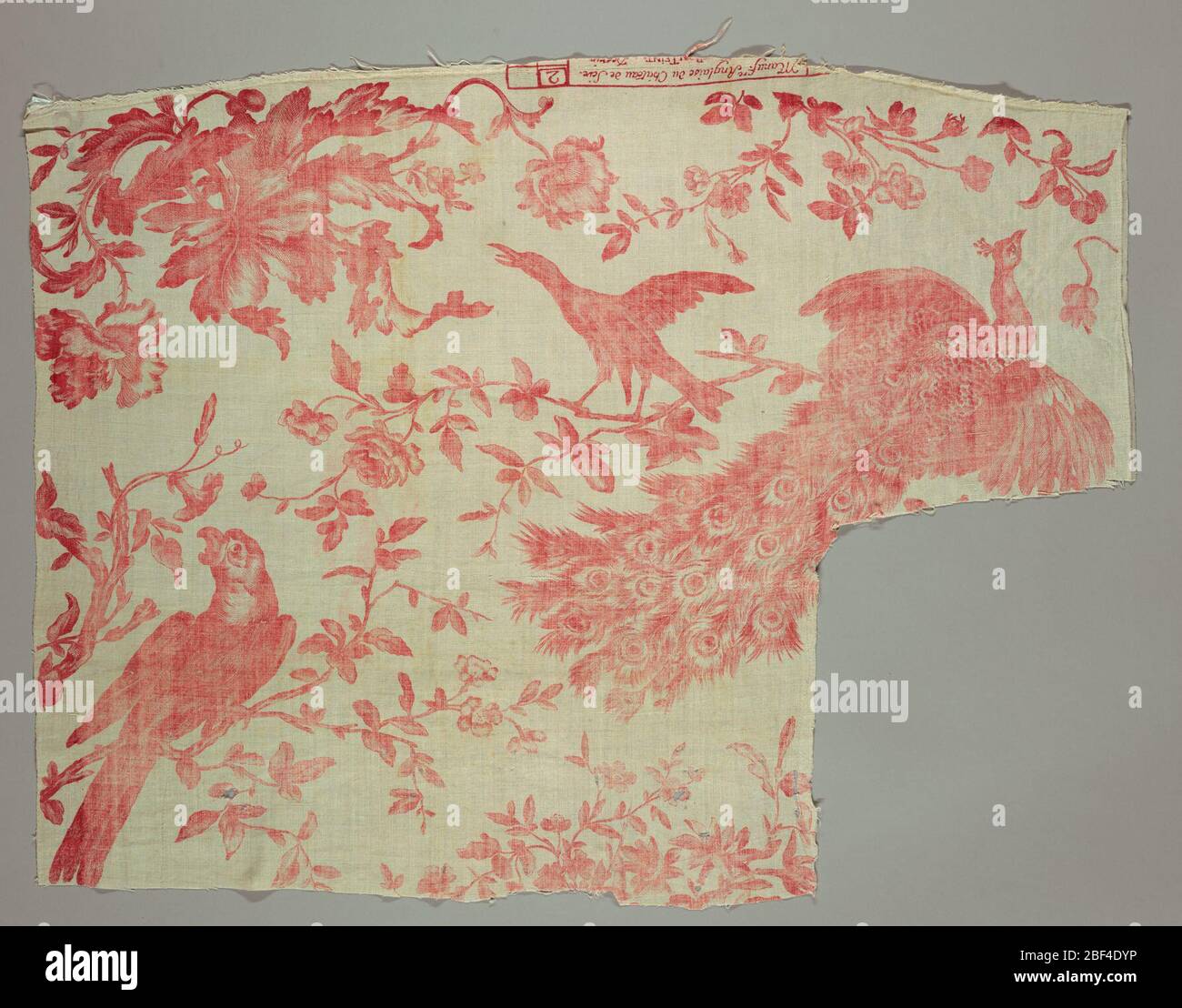 Fragment mit Koch. Design in rot auf weiß von Pfau, Papagei und Elster mit großen Blumen. Stockfoto
