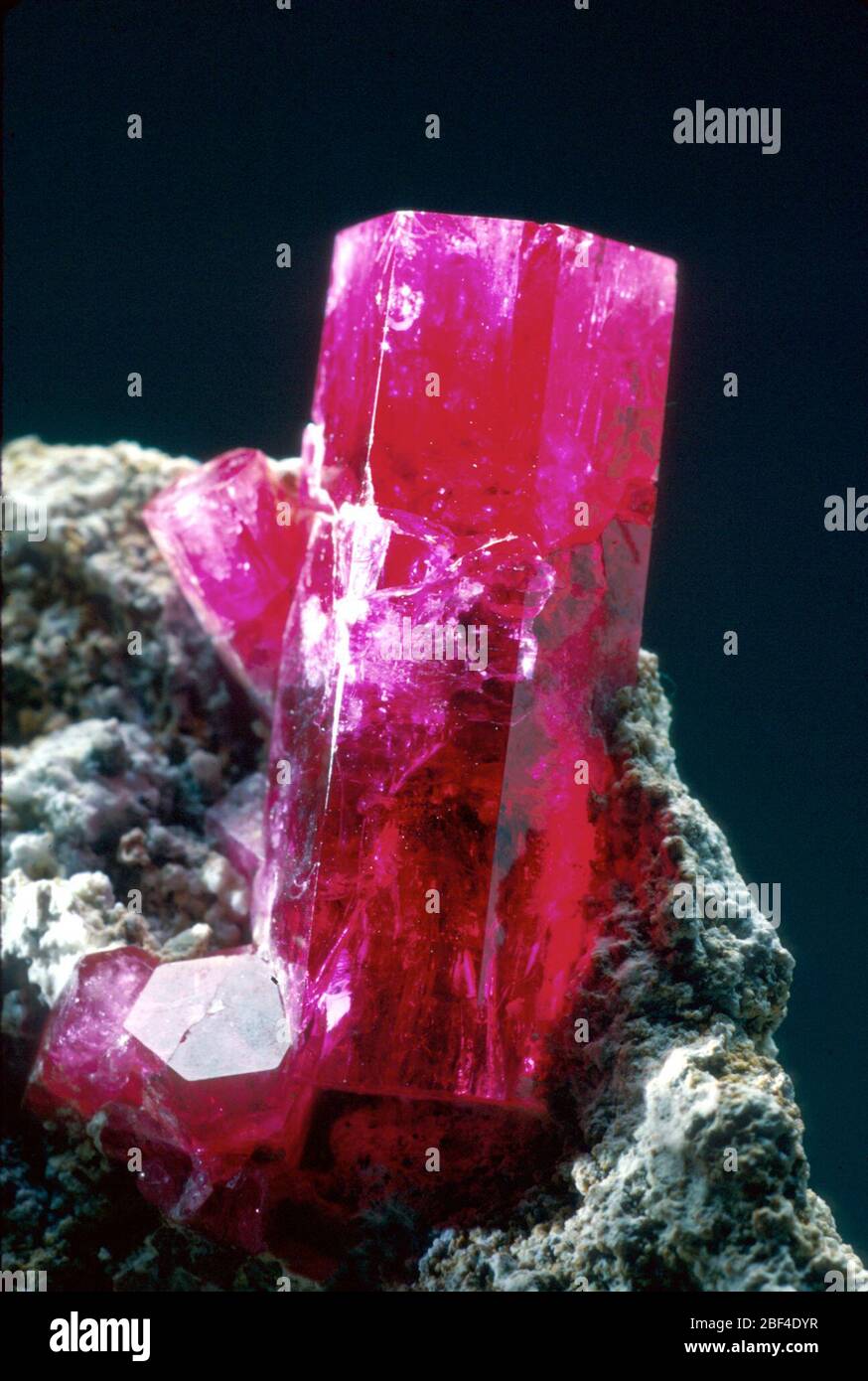 Beryl. Juli 20161 Stockfoto