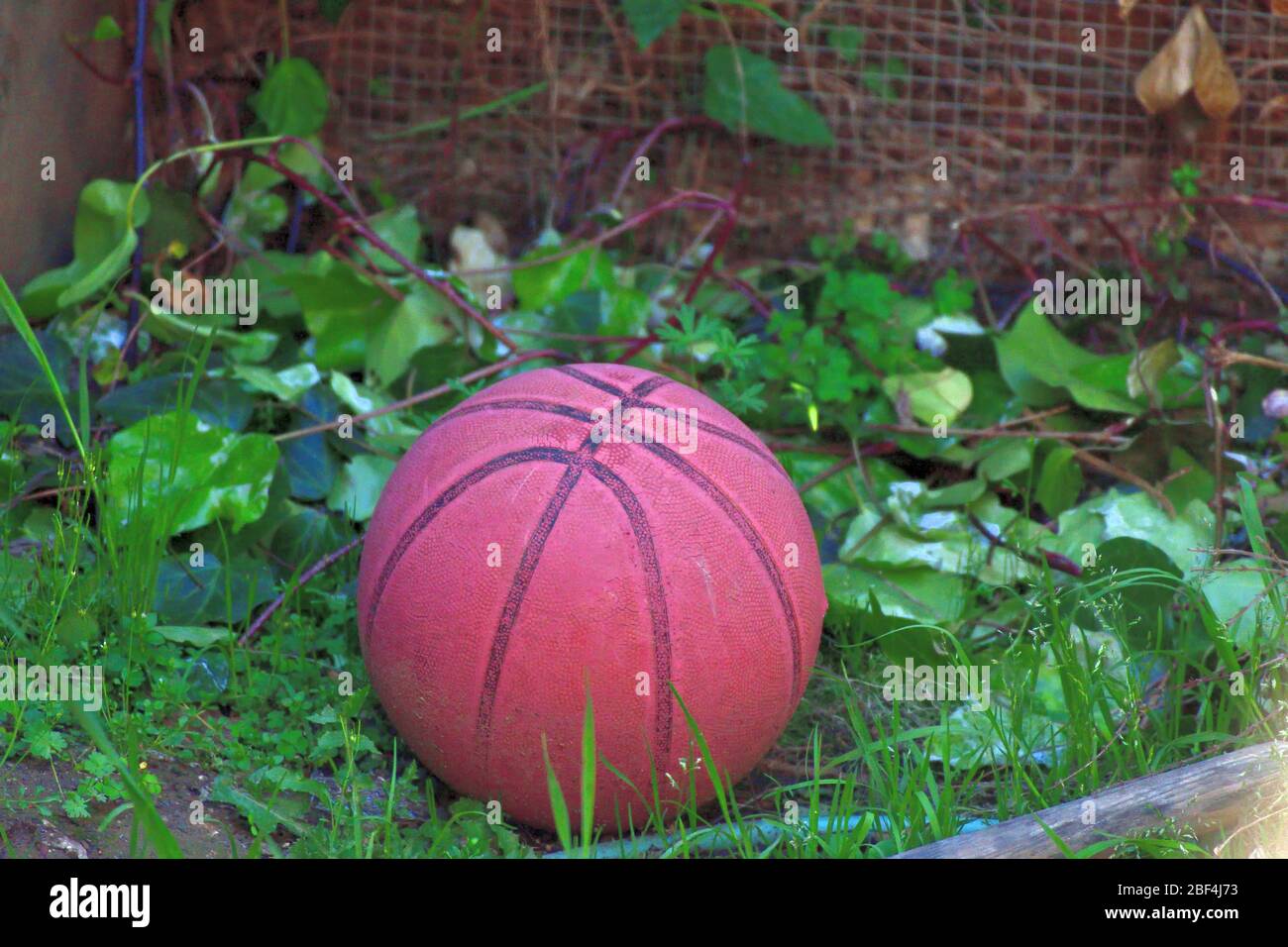 Ein Verlassene Basket Ball Stockfoto