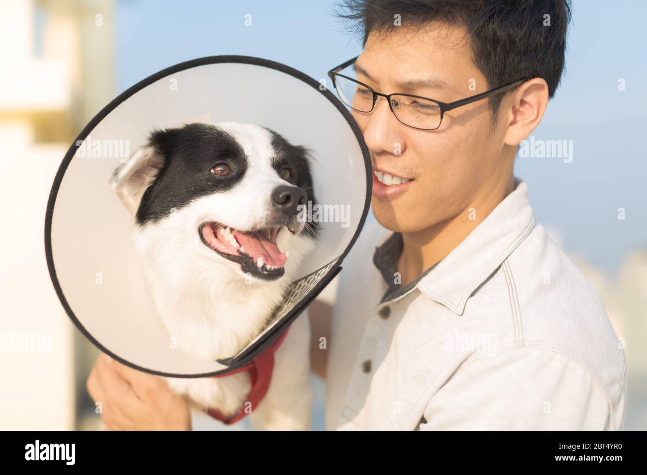 Ein vetenarischer Mann, der sich um einen Hundepaitent in der Klinik kümmert. Stockfoto