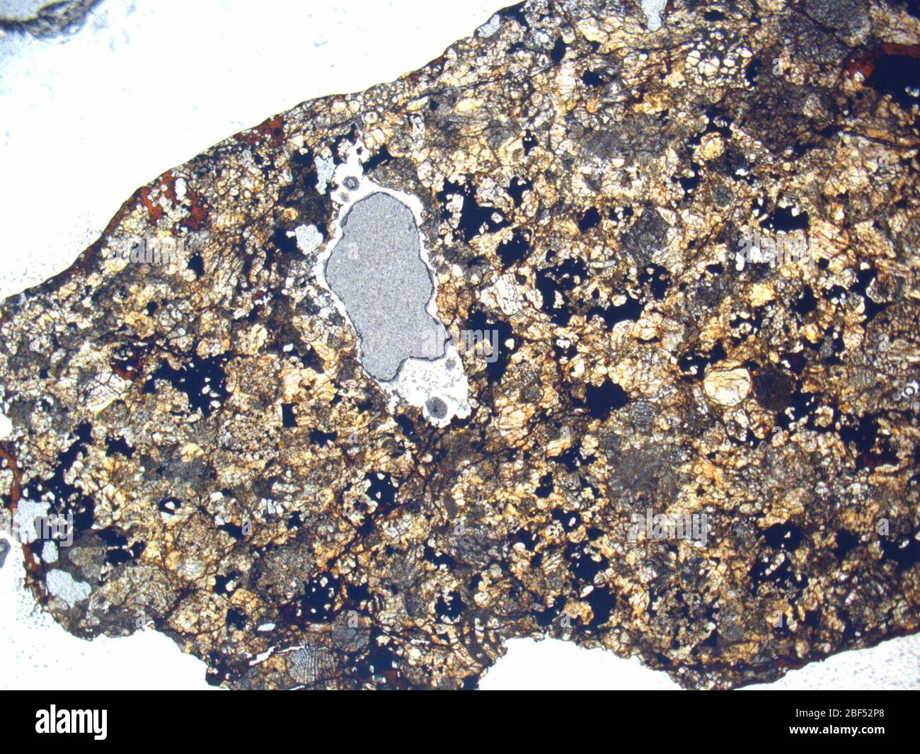 Mikrograph des MIL 07050,2 Meteoriten unter platinpolarisiertem Licht bei 1,25facher Vergrößerung. Stockfoto