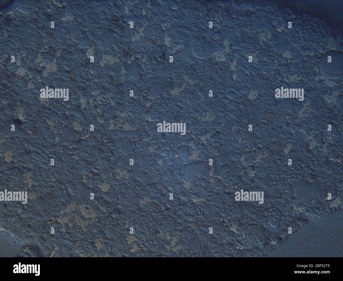 Mikrograph des EET 82609,2 Meteoriten unter reflektiertem Licht bei 1,25facher Vergrößerung. Stockfoto