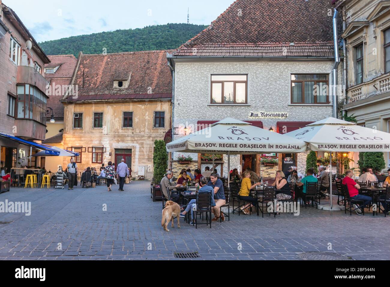 Am Rosenanger deutsches Restaurant am Enescu kleinen Platz im