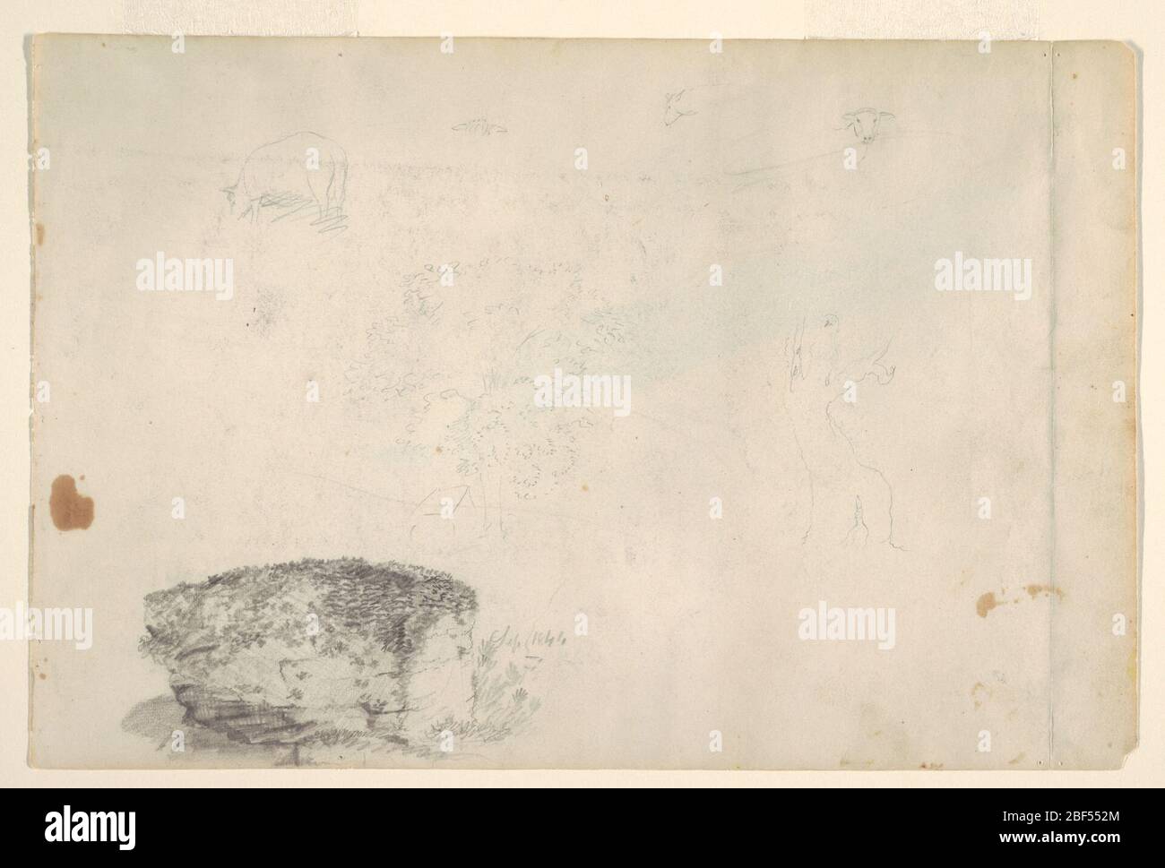 Skizzen von Lämmern Bäume und ein Haus mit einer Studie von einem Boulder. Recto: Horizontale Studie, die in der oberen Reihe ein weisendes Lamm zeigt, schräg vom linken Hinterbein gesehen, eine Detailansicht und zwei Ansichten von Lämmerköpfen; ein großer Baum und ein Haus sowie der Stamm eines Baumes in der mittleren Reihe; Und eine Studie unten links ein Felsblock mit g Stockfoto