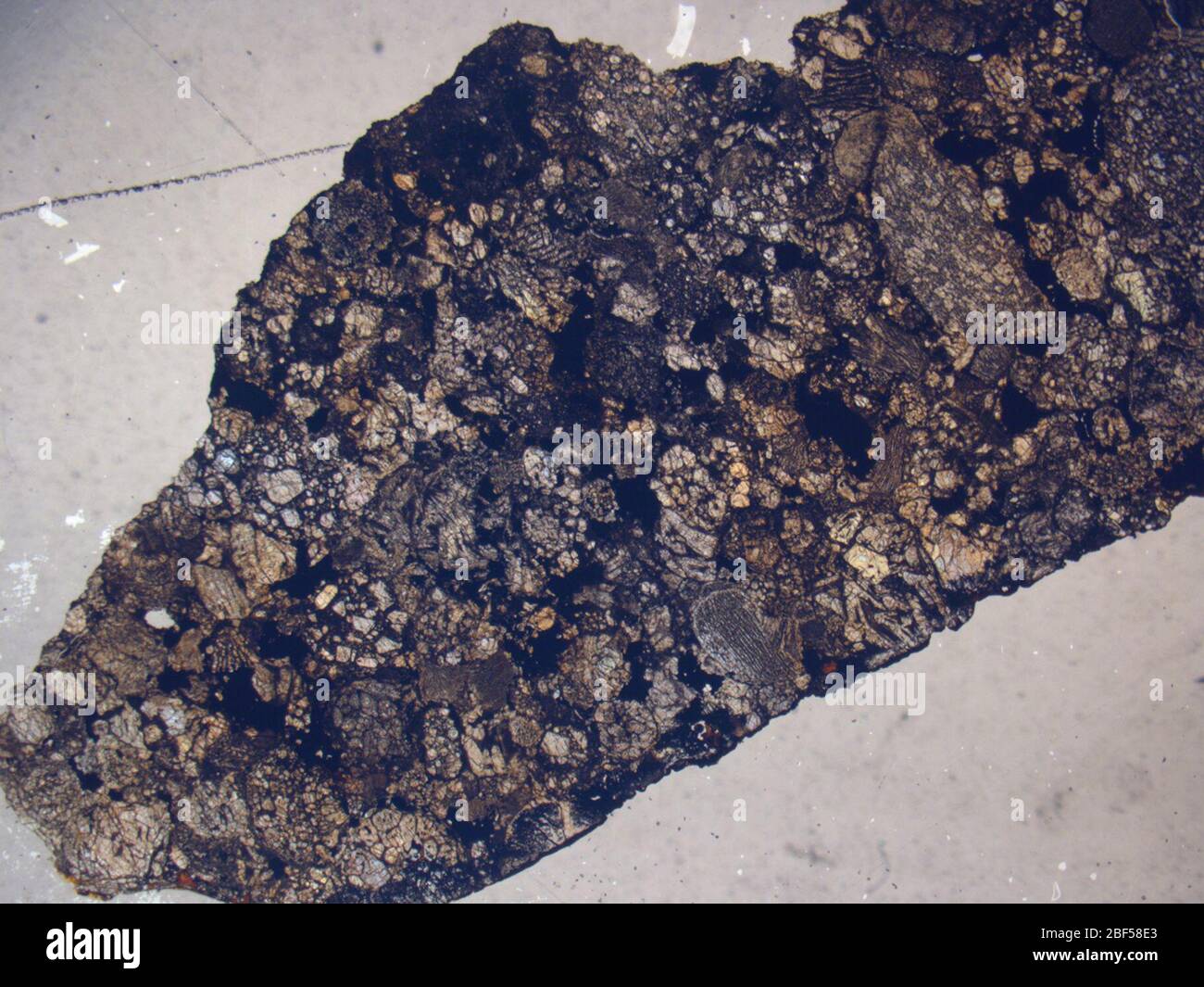 Mikrograph des PCA 91144,2 Meteoriten unter platinpolarisiertem Licht bei 1,25facher Vergrößerung. Stockfoto