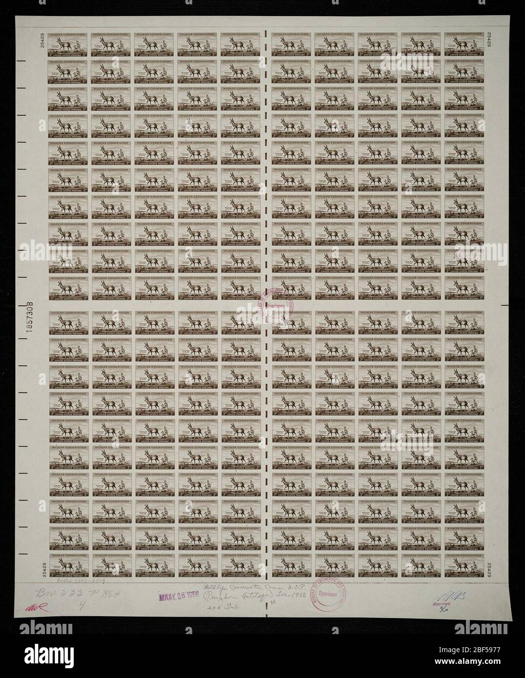 3c Pronghorn Antilopenplatte. Zertifizierte Plattenproofs sind der letzte gedruckte Proof der Platte vor dem Druck der Stempel im Büro für Gravur und Druck. Diese Plattenproofs sind jeweils eindeutig, mit den Genehmigungsunterschriften und dem Datum. Stockfoto