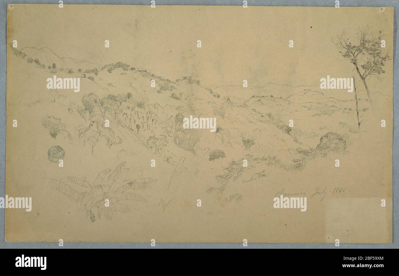 Bewaldete Vale mit einem großen Fern und entfernten Bergketten Jamaika. Horizontale Ansicht mit schräg gezogenem, nach rechts ausdehnenden Waldtal, Bergketten in der Ferne und einer Pflanze mit großen Blättern unten links. Stockfoto