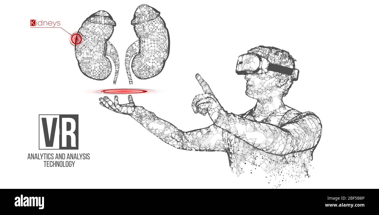 VR Wireframe Headset Vektor Banner. Polygonaler Mann trägt Virtual-Reality-Brille, mit Hologramm der Niere. Wissenschaft, Diagnostik, virtuelle Analytik Stock Vektor