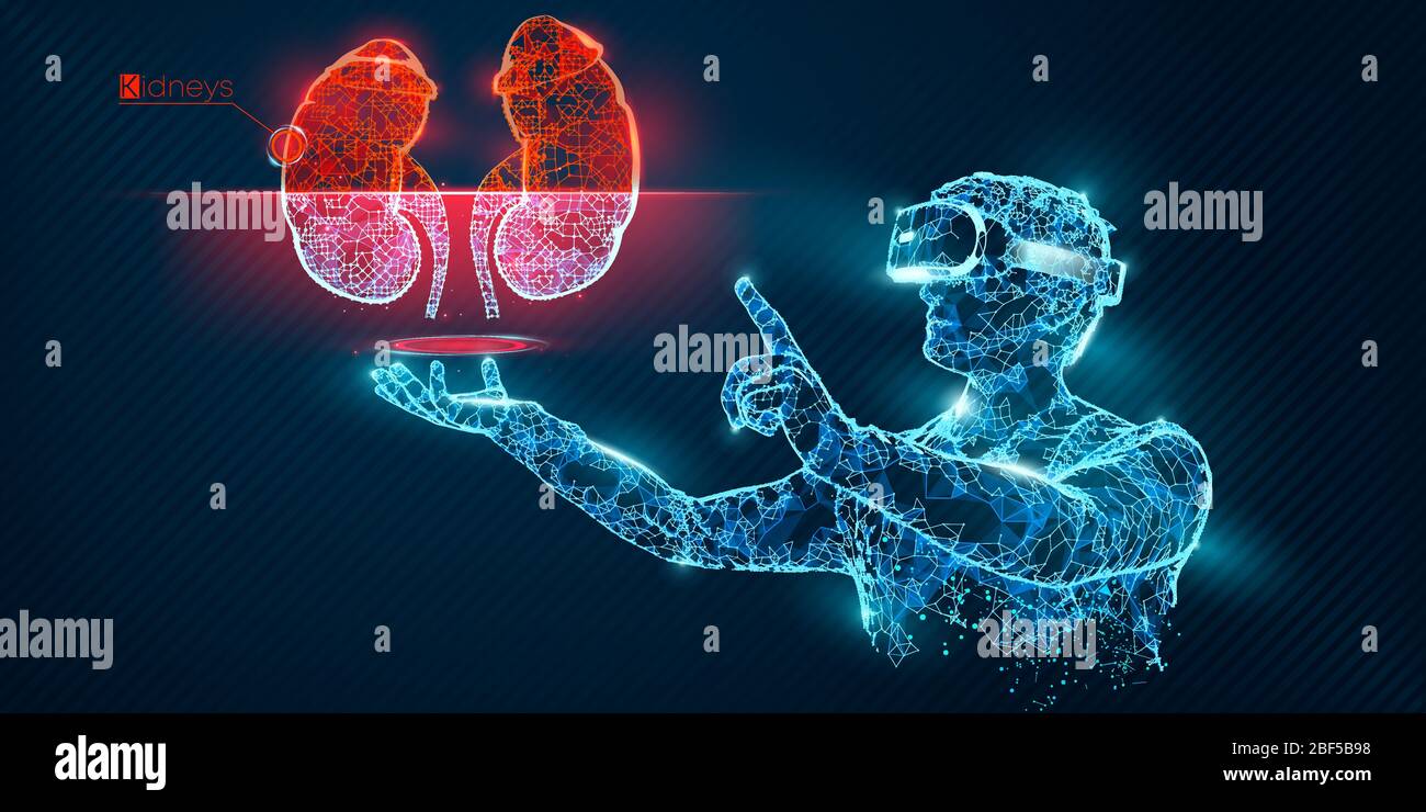 VR Wireframe Headset Vektor Banner. Polygonaler Mann trägt Virtual-Reality-Brille, mit Hologramm der Niere. Wissenschaft, Diagnostik, virtuelle Analytik Stock Vektor