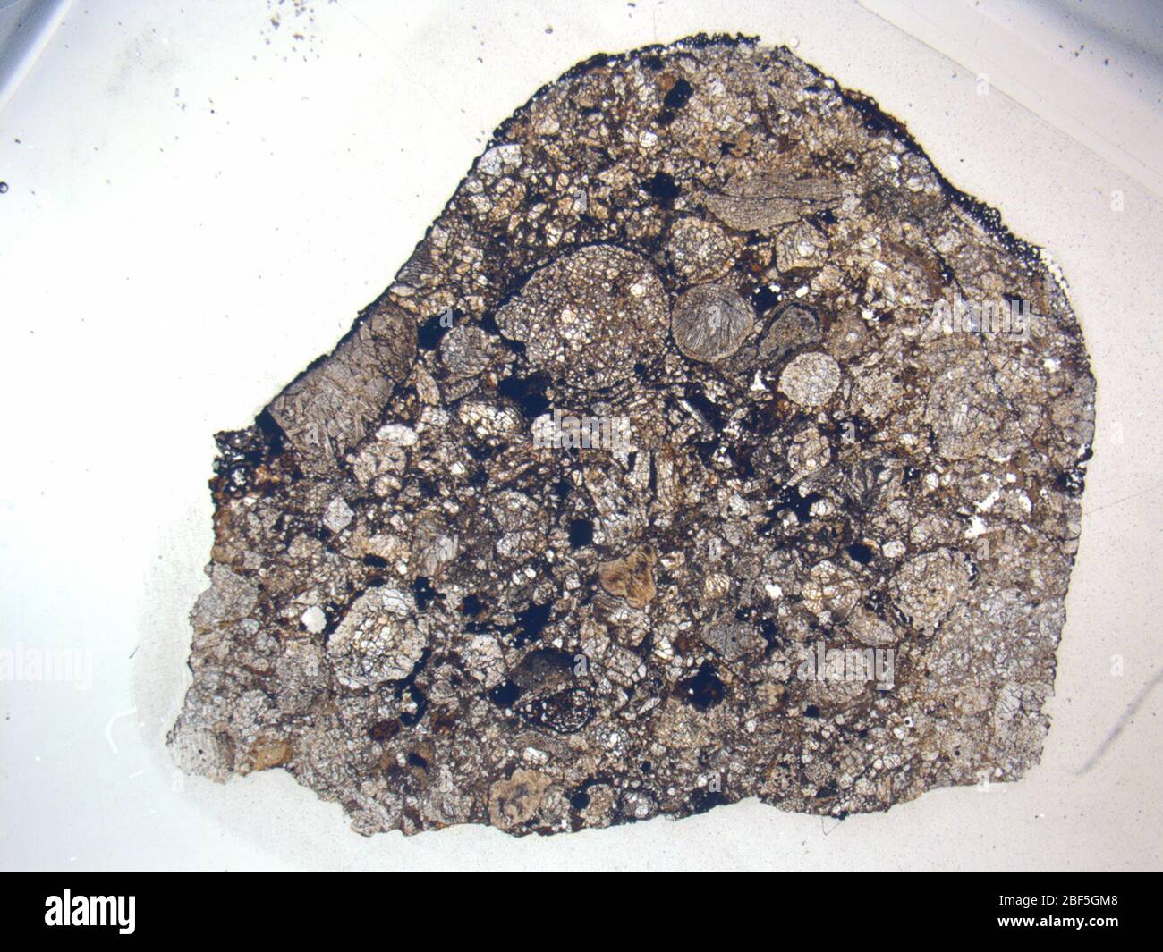 Mikrograph des LEW 86246,2 Meteoriten unter platinpolarisiertem Licht bei 1,25facher Vergrößerung. Stockfoto