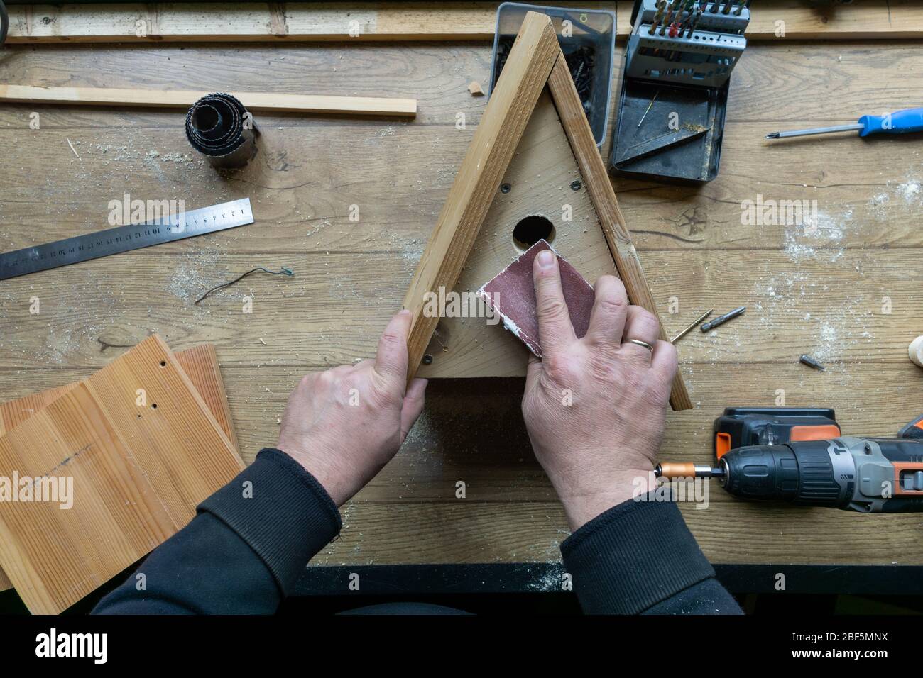 Bau Vogelhaus, Holz, Schrauben und Werkzeuge liegen auf der Bank Stockfoto
