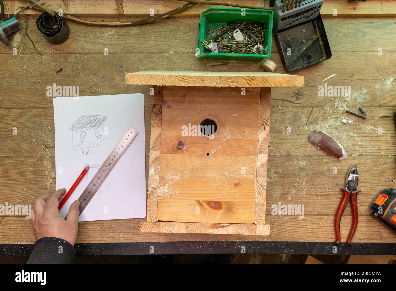 Bau Vogelhaus, Holz, Schrauben und Werkzeuge liegen auf der Bank Stockfoto