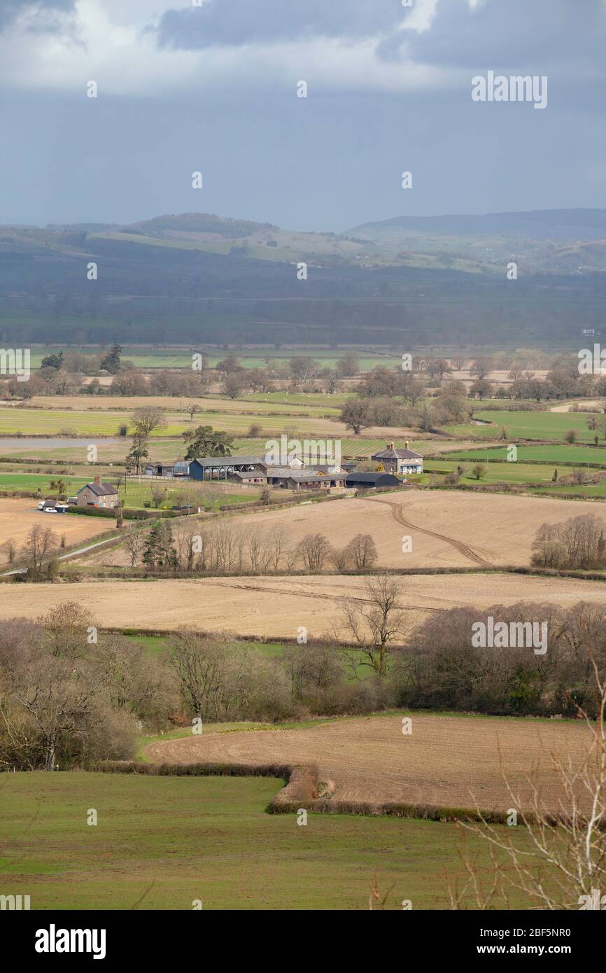 Blick Richtung Letton bei Wigmore, Herefordshire, England Stockfoto