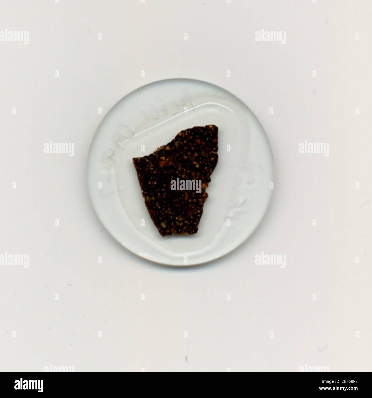 Acfer 094. 22 April 201925895811 Stockfoto