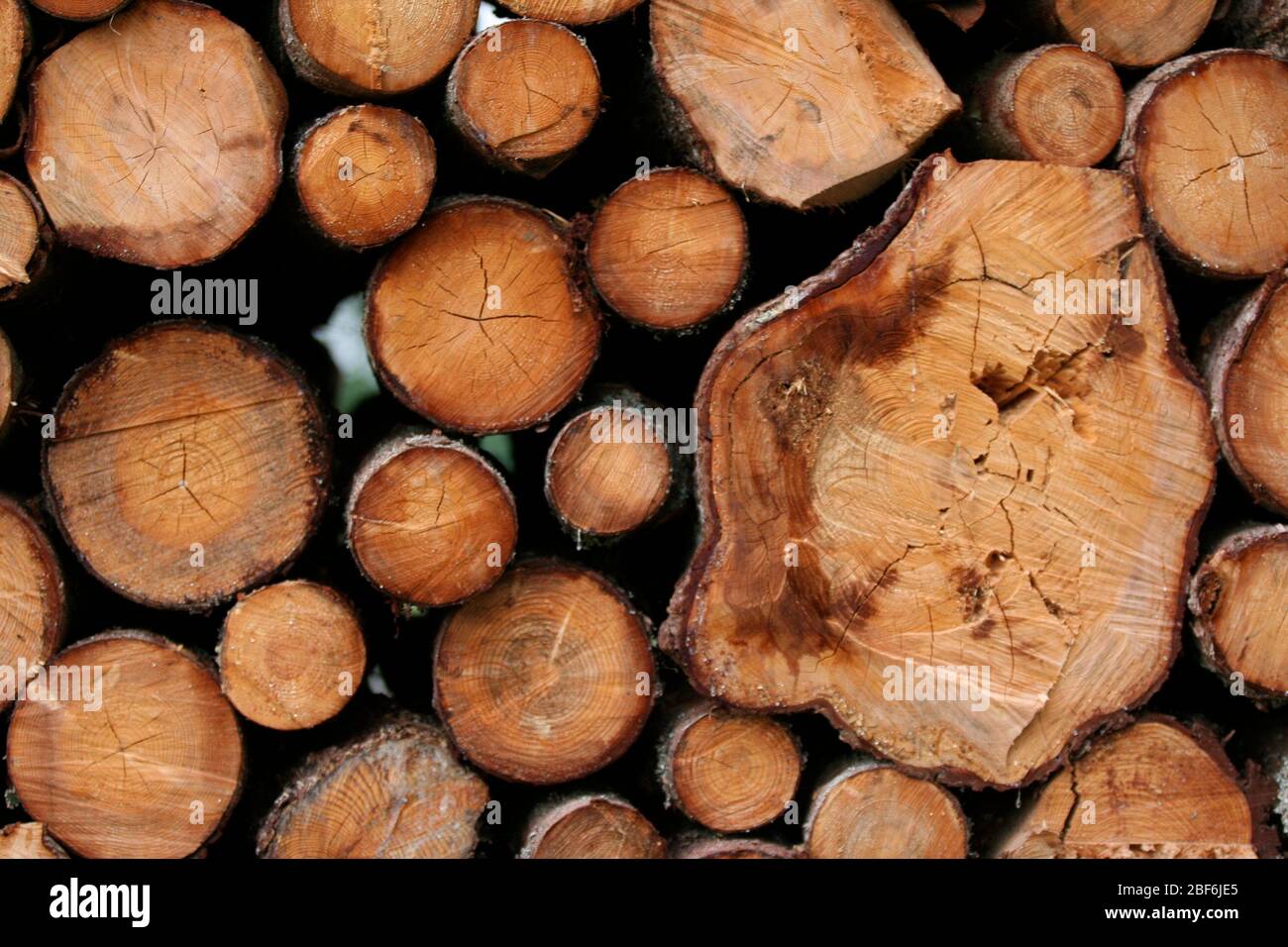Holz, an einer Straße in Småland, Schweden, angehäuft. Stockfoto