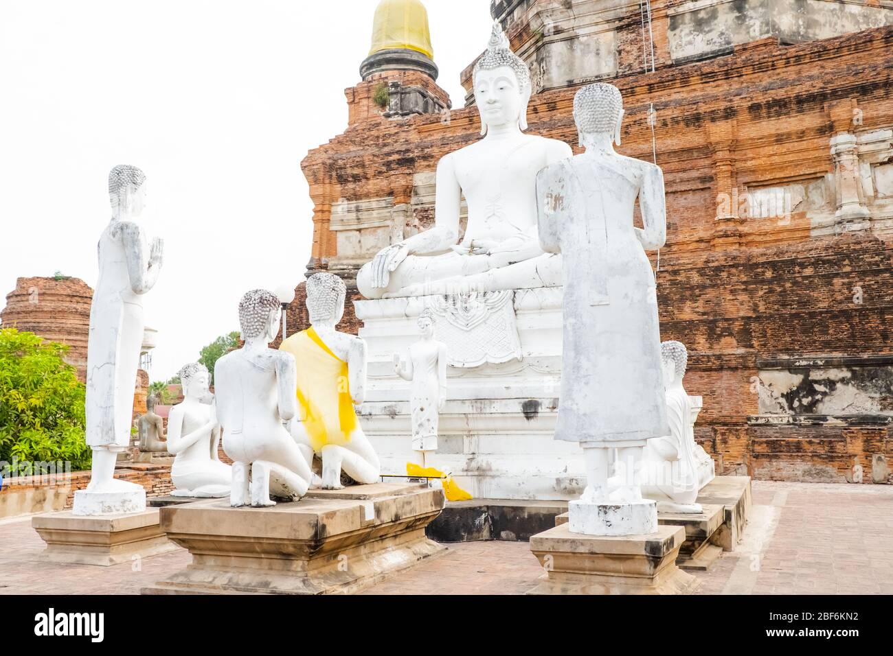 Buddha-Statuen vor Stupa am Wat Yai Chai Mongkons, Ayutthaya, Thailand Stockfoto