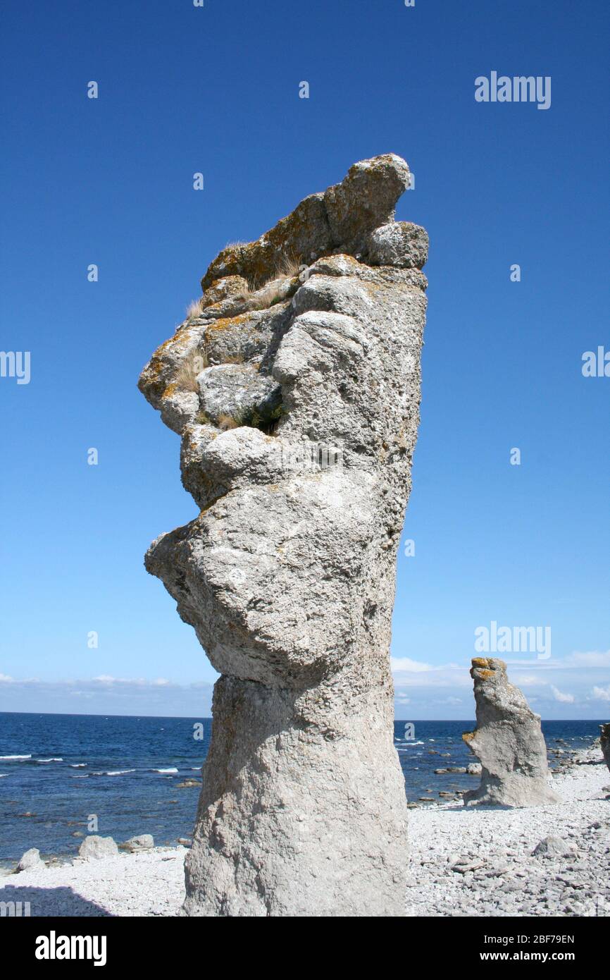 Rauk, eine Art Felsformation, auf der Insel Fårö außerhalb von Gotland, Schweden. Stockfoto