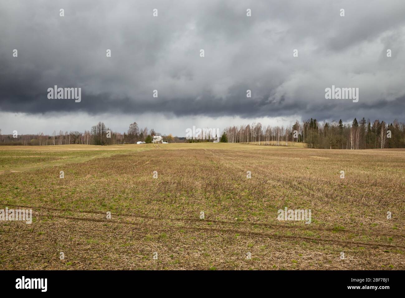 Gewitterwolken nähern sich, Lettland Stockfoto