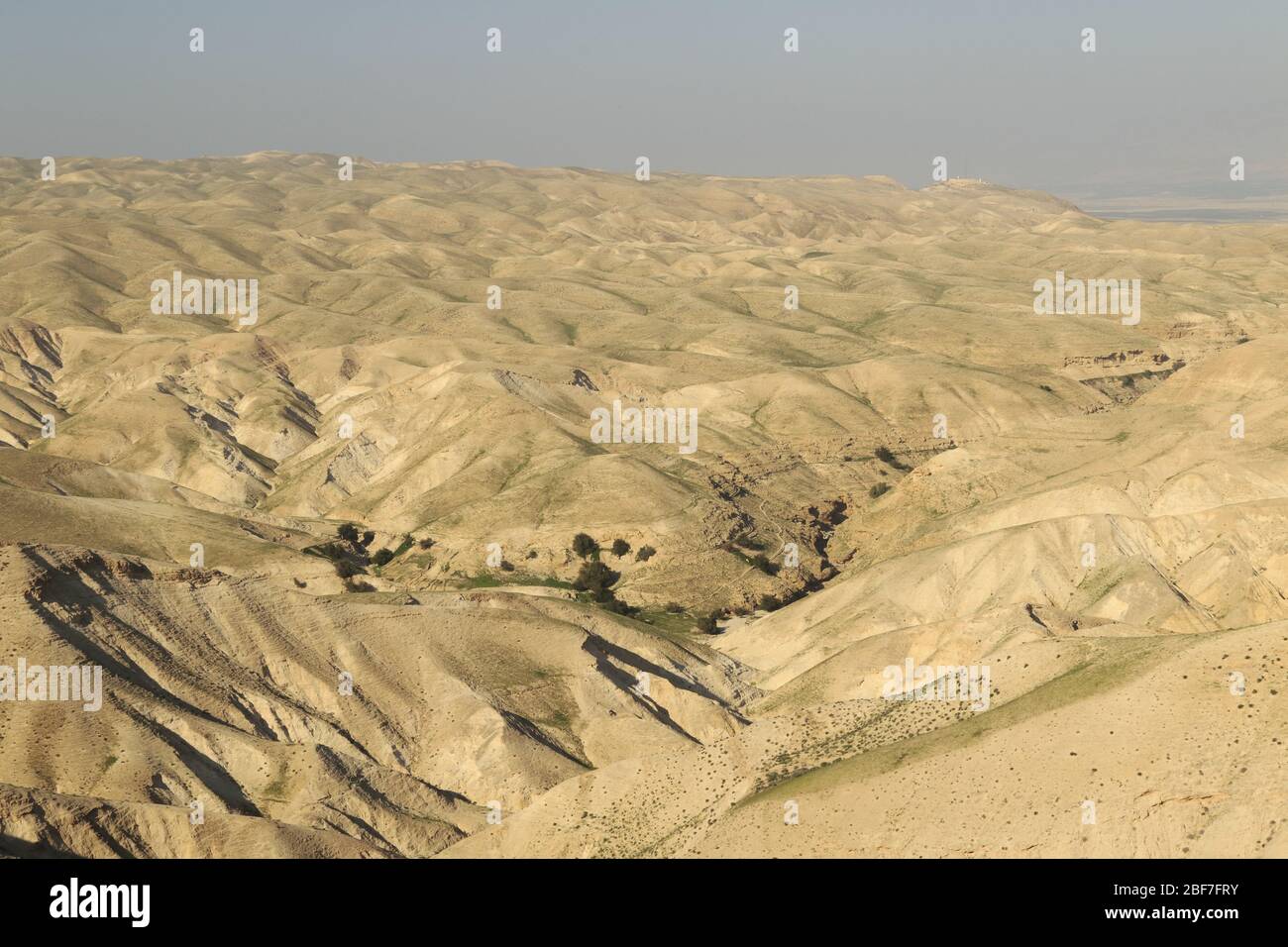 Blick auf die judäische Wüste Stockfoto