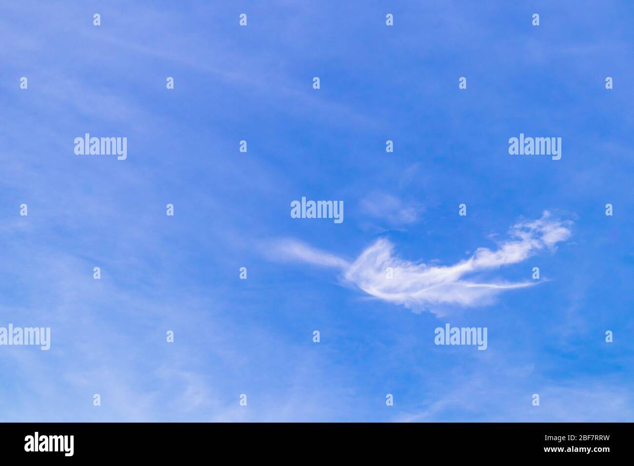 Erstaunliche Wolkenform wie ein Vogel auf blauem Himmel Hintergrund Stockfoto
