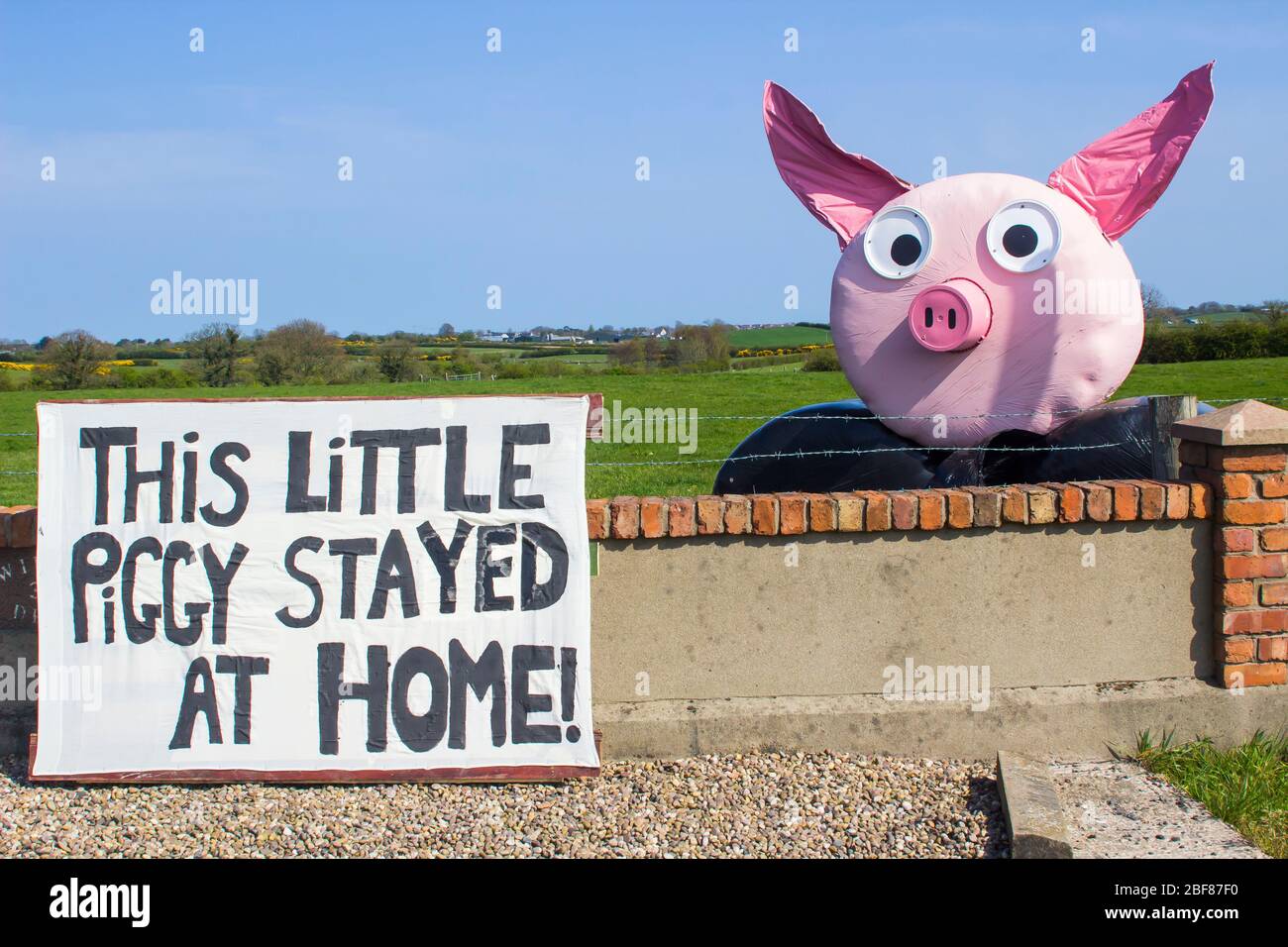 County Down, Nordirland. 17. April 2020 EIN Cartoon-Figur Piggy aus Strohballen zeigt einen Bauern humorvollen nehmen auf die Covid 19 Krise. Nehmen Sie die Donaghadee Road zwischen Newtownards und der Six Road, und beenden Sie den Kreisverkehr in der Grafschaft Down Northern Ireland. Kredit: MHarp/Alamy Live Nachrichten Stockfoto