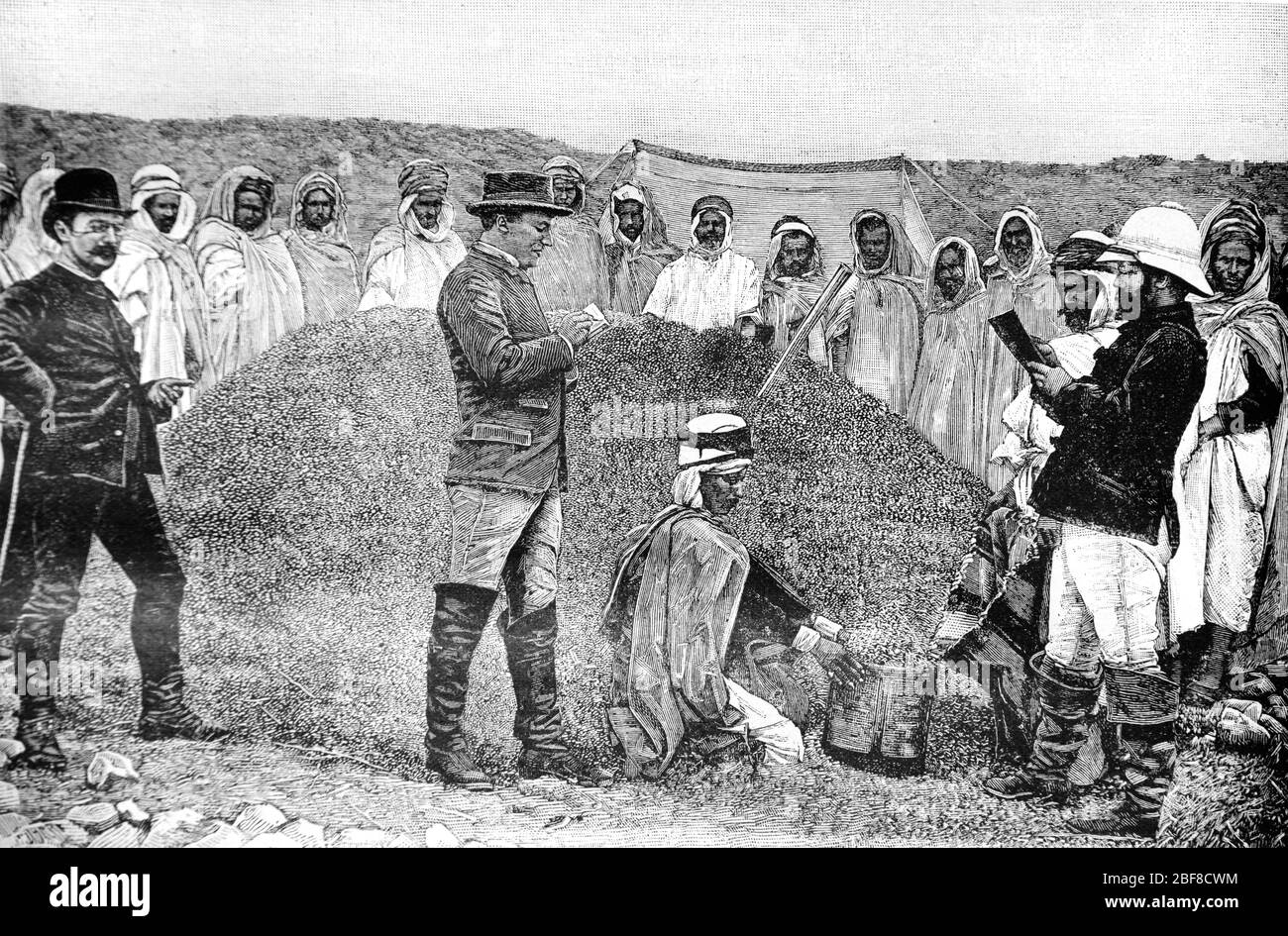 Behandlung von Heuschreckenschwärmen oder Heuschreckenkontrolle im Nahen Osten. Vintage oder Alte Illustration oder Gravur 1889 Stockfoto