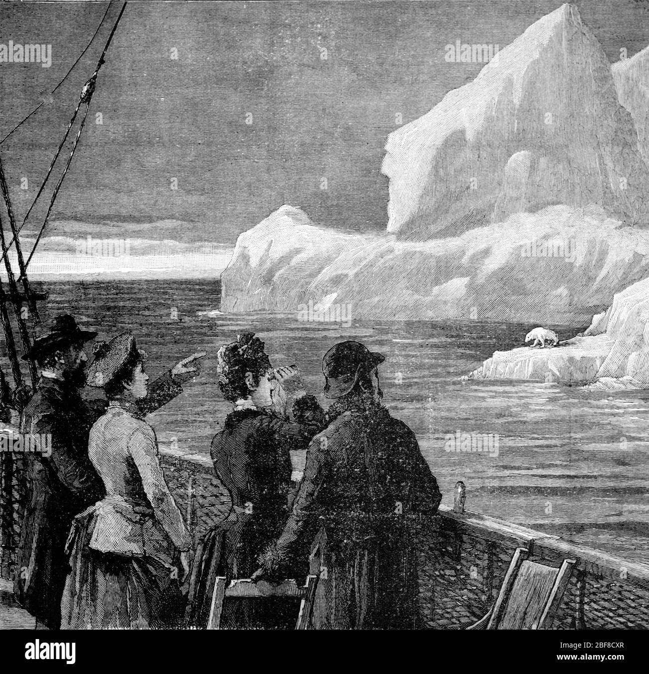 Eisbären beobachten, frühe Touristen beobachten Eisbären, Ursus maritimus, oder Wildtiere beobachten auf dem Eisschelf von Island. Vintage oder Alte Illustration oder Gravur 1889 Stockfoto