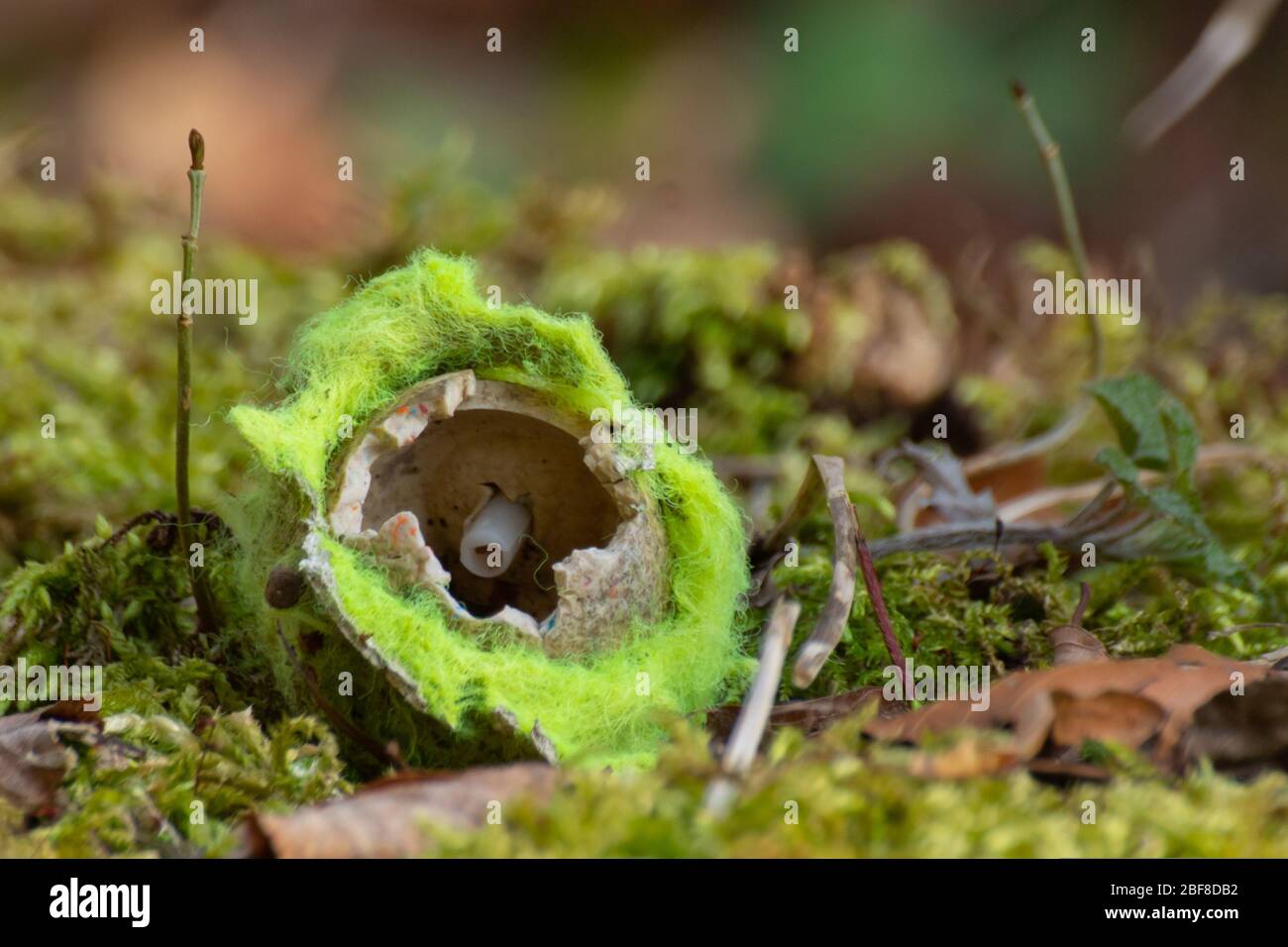 Nahaufnahme von alten zerrissenen gelben Tennisball auf einer Seite auf Moos auf einem Baumstumpf Stockfoto