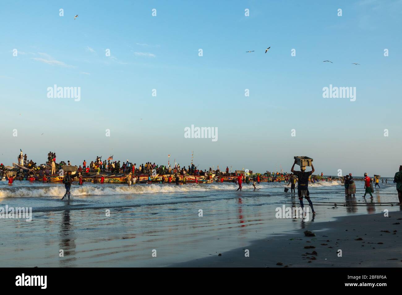 TANJI, GAMBIA - 21. NOVEMBER 2019: Menschen, die Fische von den Booten zum Strand auf Tanji, Gambia, Westafrika, tragen. Stockfoto