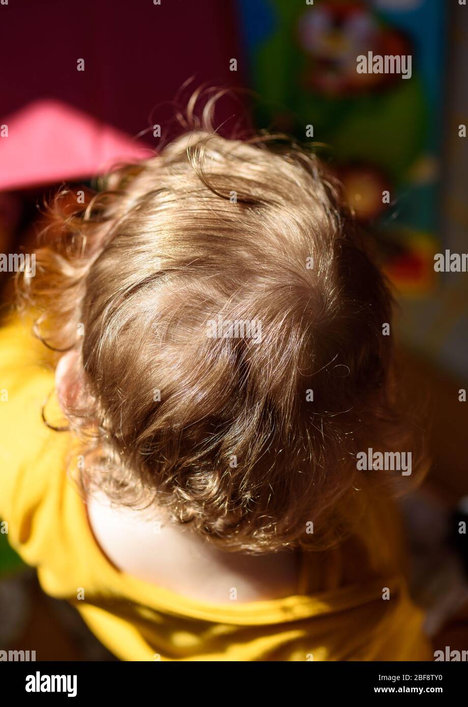 Draufsicht eines Erdbeerblonden, lockigen kaukasischen Kindes, das vom Sonnenlicht beleuchtet wird. Stockfoto