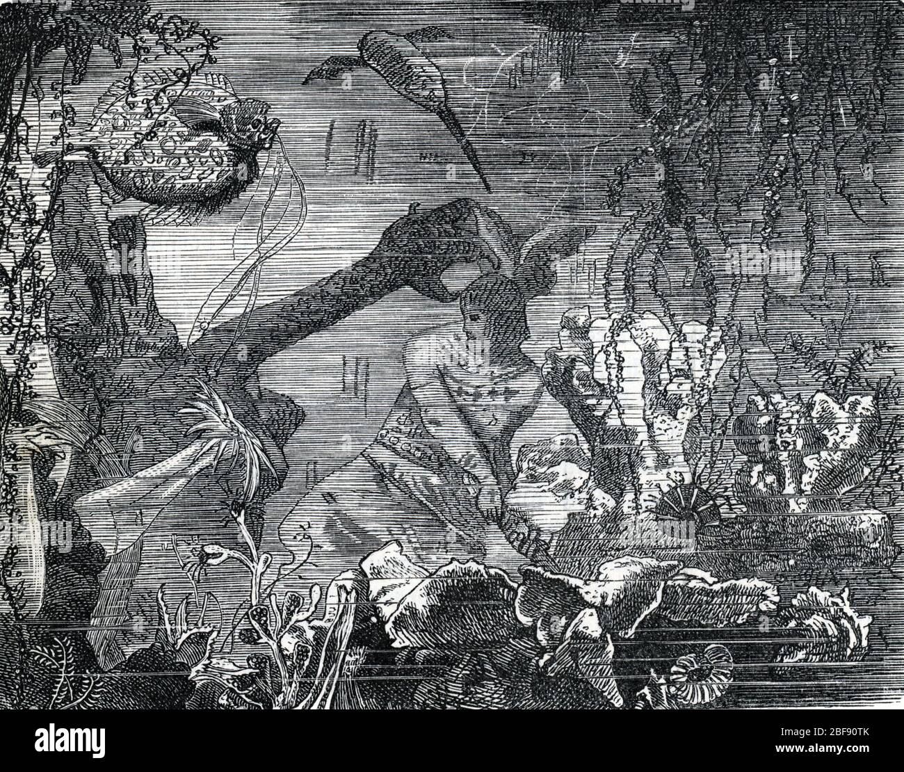 Mythologie nordique : Beowulf combattant la Mere de Grendel dans le lac (nordische Mythologie : Beowulf während der zweiten Schlacht: Grendels Mutter) Gravure Stockfoto