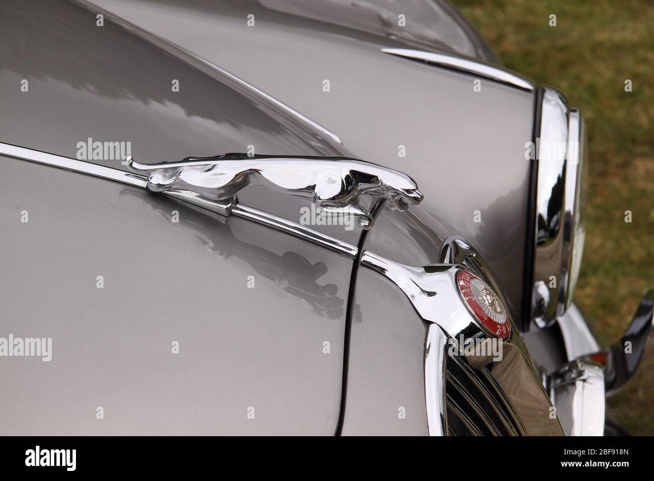Vorderansicht eines silbernen klassischen Jaguar Motorhaube Emblems Stockfoto