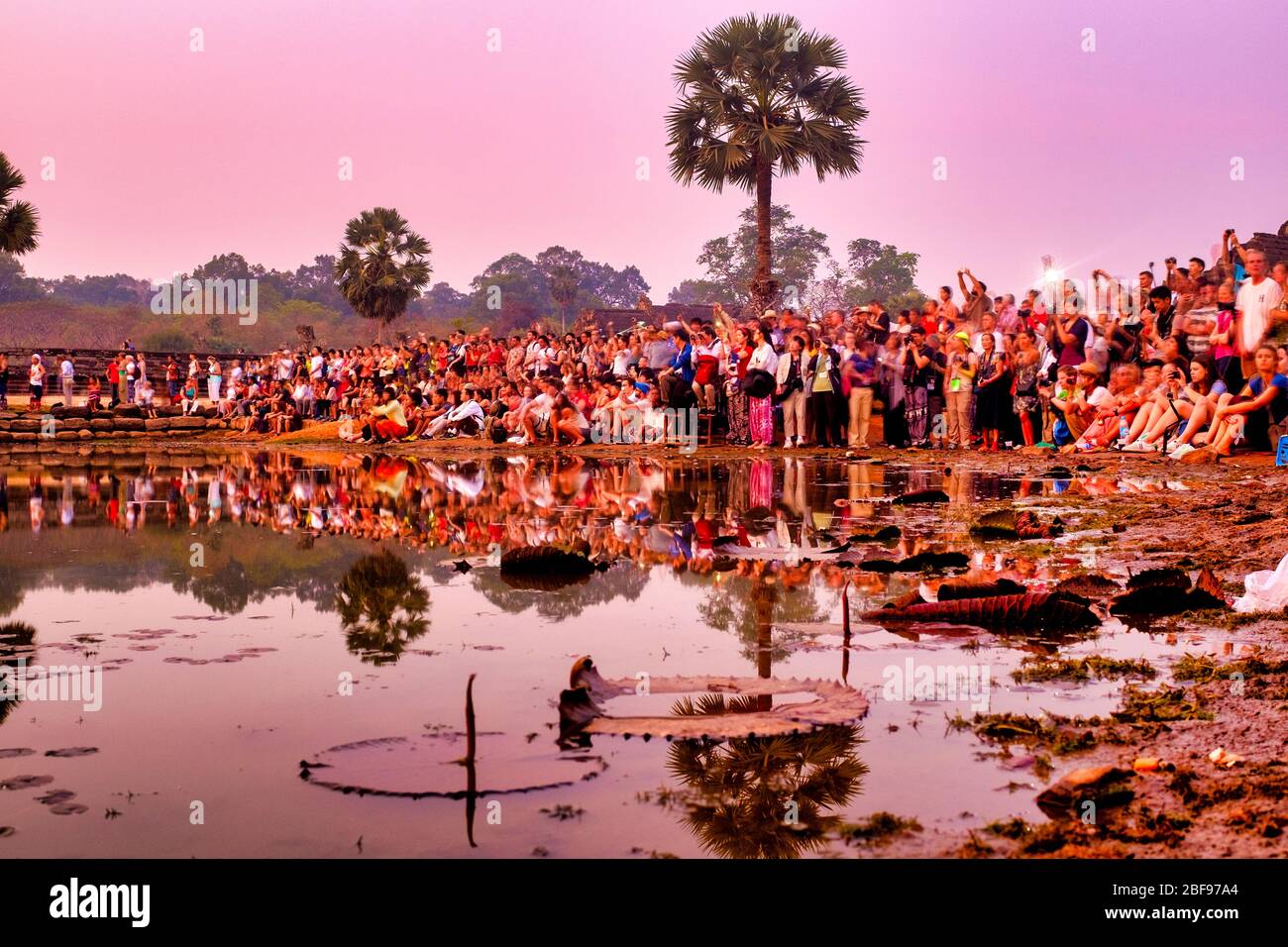 Eine Menge Touristen warten auf den Sonnenaufgang in Angkor Wat, Siem Reap, Kambodscha Stockfoto