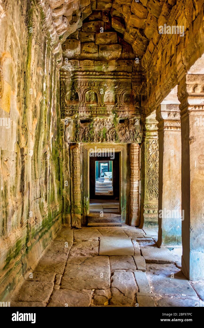 Ta Prohm Tempel, Siem Reap, Kambodscha Stockfoto