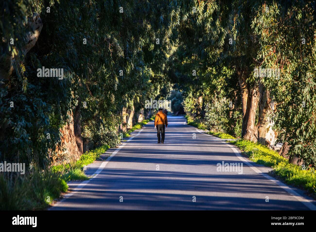 Einsamer Mann, der auf der Fourni - Kastelli Straße, Epano Mirabello, Gemeinde Agios Nikolaos, Lassithi, Kreta, Griechenland läuft. Stockfoto