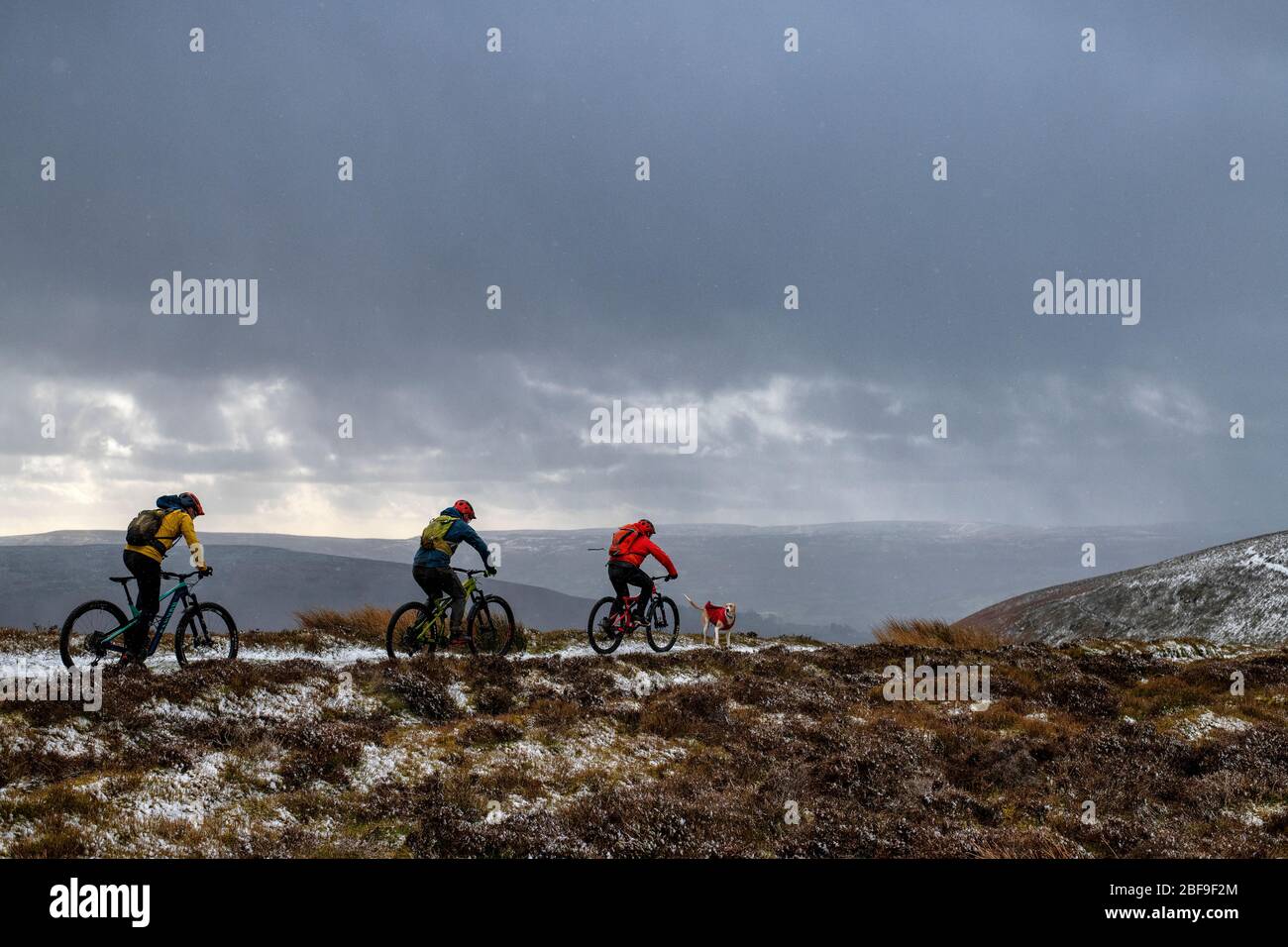 Mountainbiken in den Black Mountains, Wales. Stockfoto