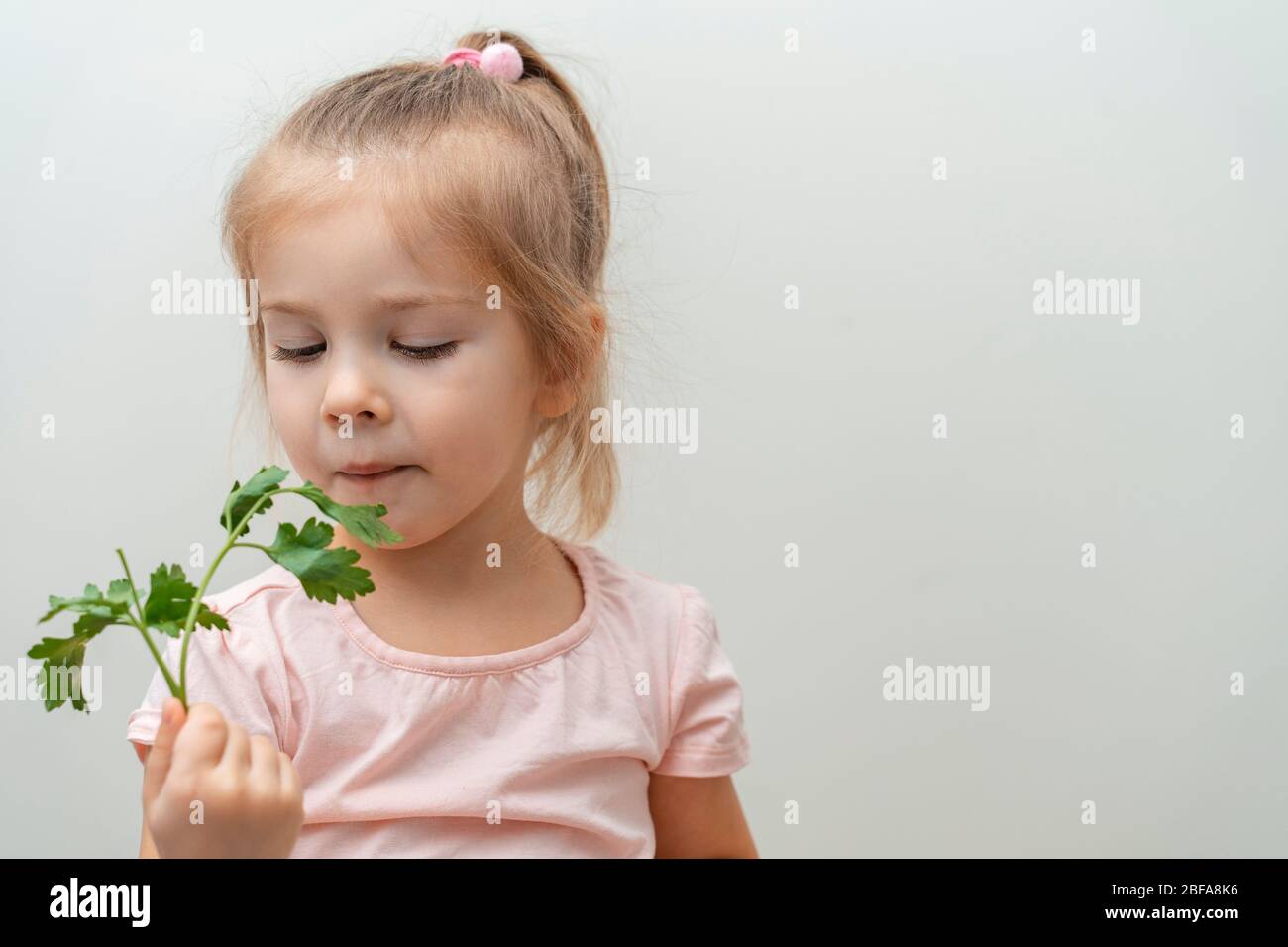 Ein kleines Mädchen mit einem unzufrieden Blick kaut ein Bündel Petersilie auf einem hellen glatten Hintergrund. Mangel an Gemüse in Babynahrung Stockfoto