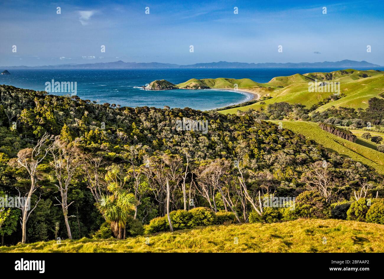 Port Jackson Bay und Campingplatz, Cape Colville, Great Barrier Island in der Ferne, Coromandel Peninsula, Waikato Region, Nordinsel, Neuseeland Stockfoto