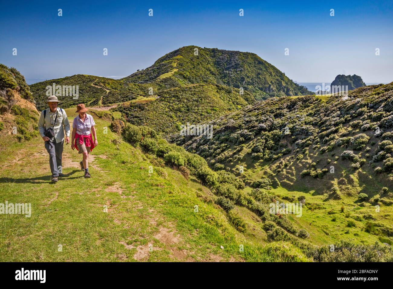 Zwei ältere Wanderer auf dem Coromandel Walkway, in der Nähe von Cape Colville, Coromandel Peninsula, Waikato Region, North Island, Neuseeland Stockfoto