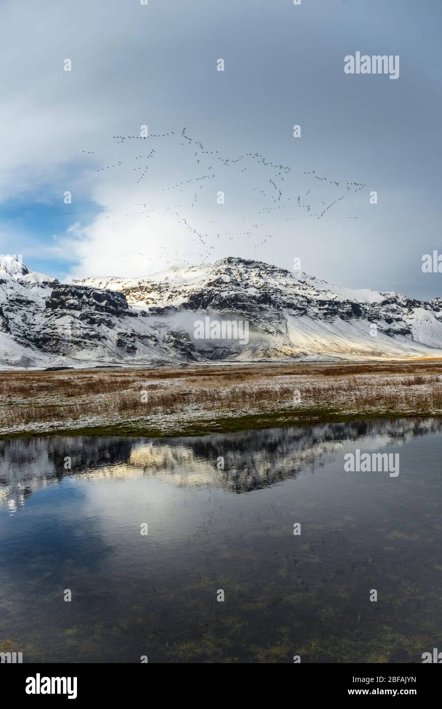 Schneebedecktes Naturgebiet in der Nähe des Skaftafell National Park, Island Stockfoto