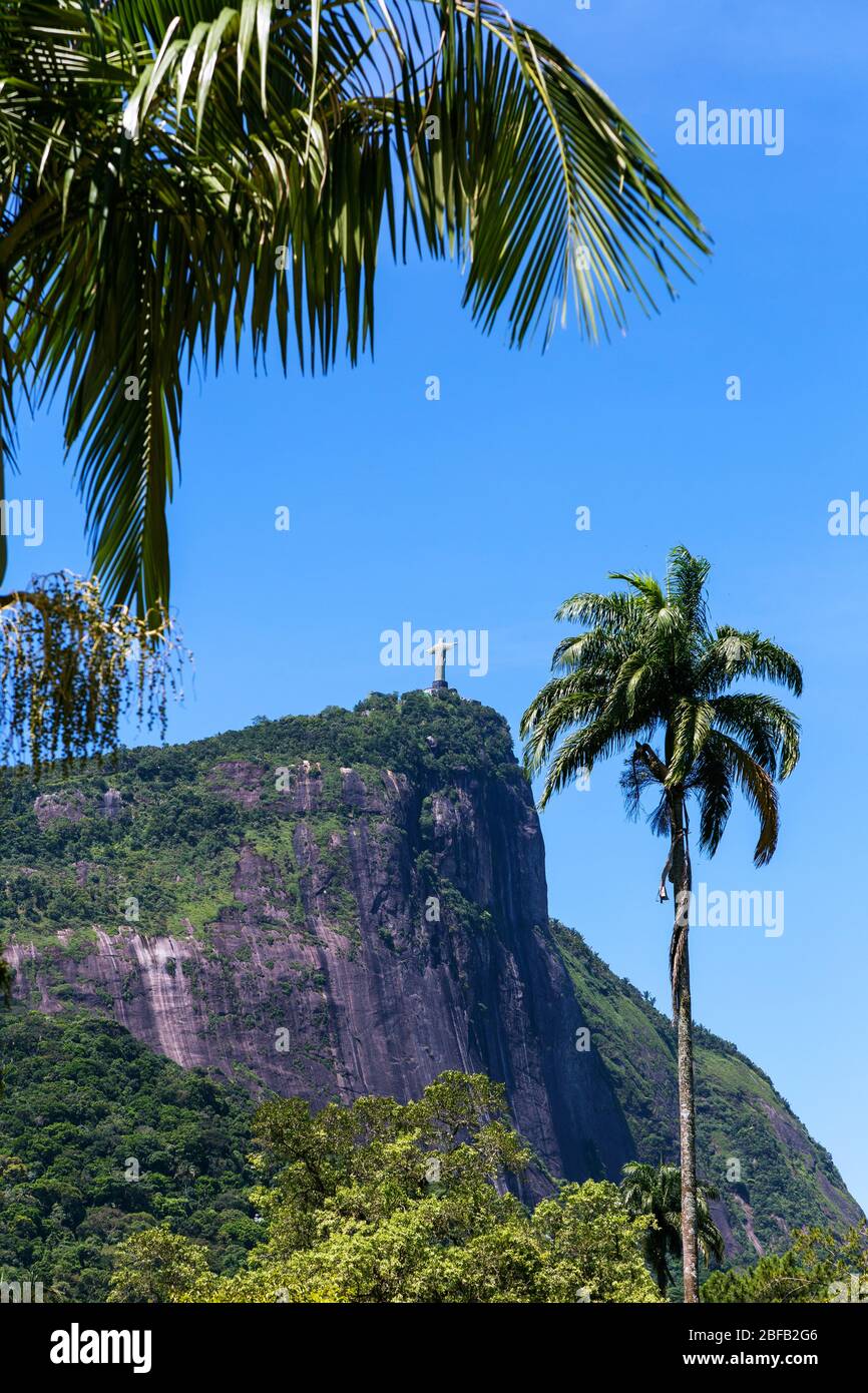 RIO DE JANEIRO, BRASILIEN - 29. DEZEMBER 2019: Blick auf den Corcovado-Hügel aus dem Inneren des botanischen Parks. Es ist sichtbar, der redentor christus in der Spitze. Stockfoto