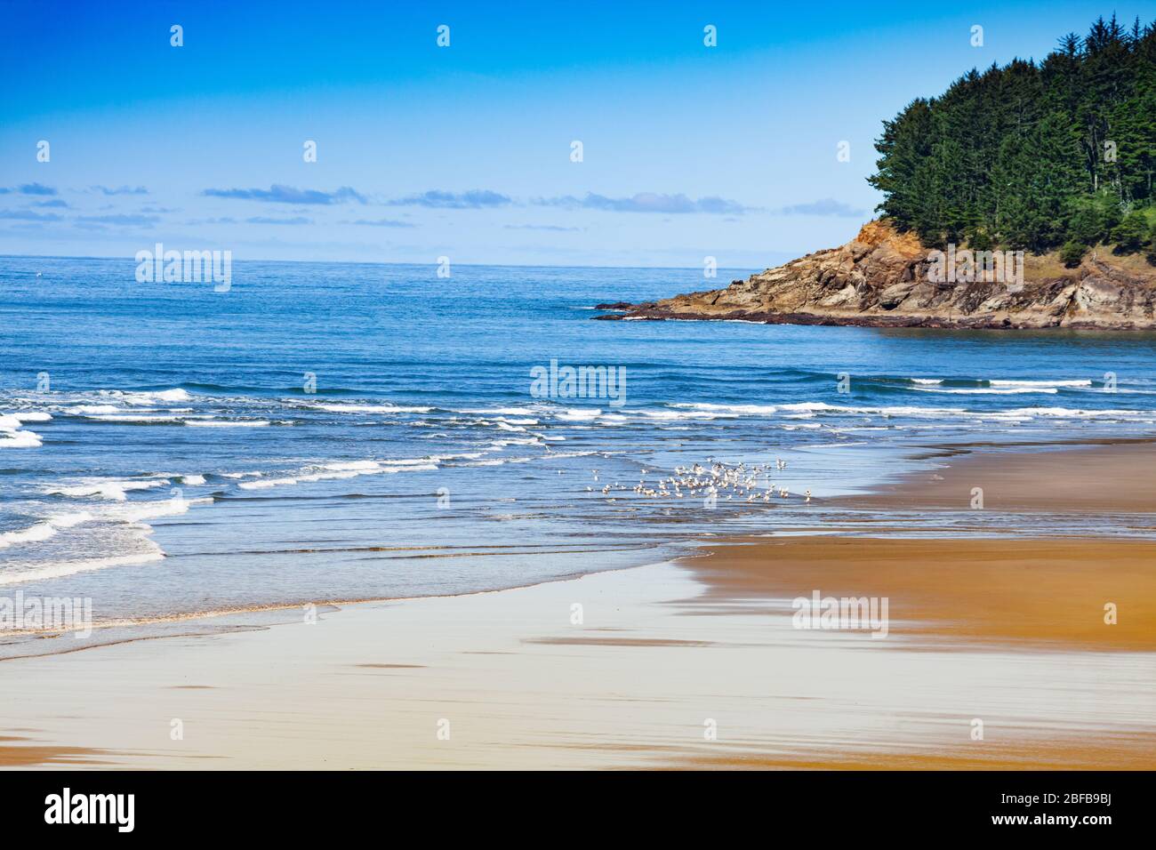 Wellen an der Pazifikküste von Gold Beach in Oregon, USA Stockfoto