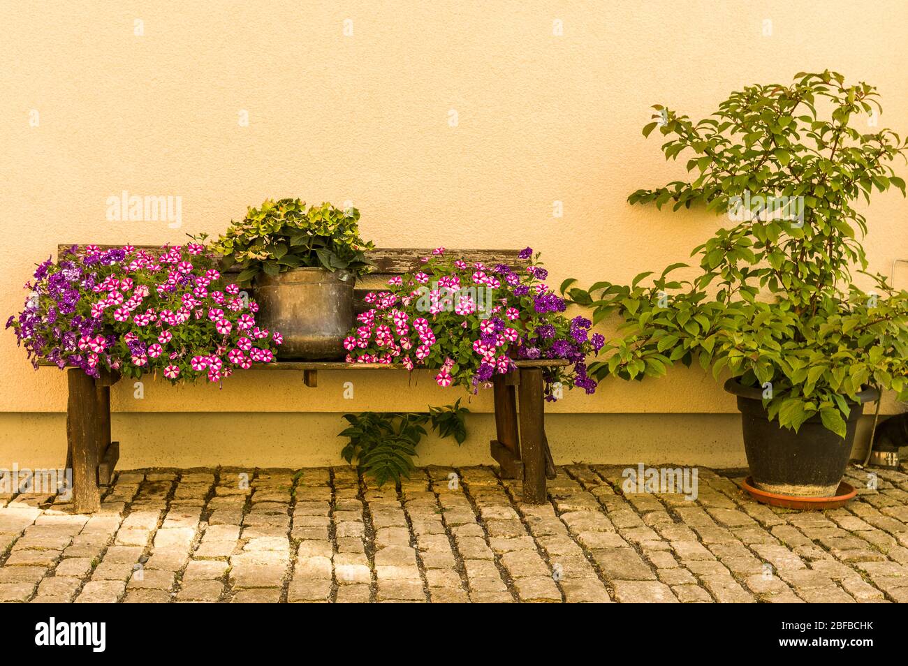 Blumenbank mit Blumentopf und bunten Blumen vor der hellen Hauswand auf Kopfsteinpflaster Stockfotografie