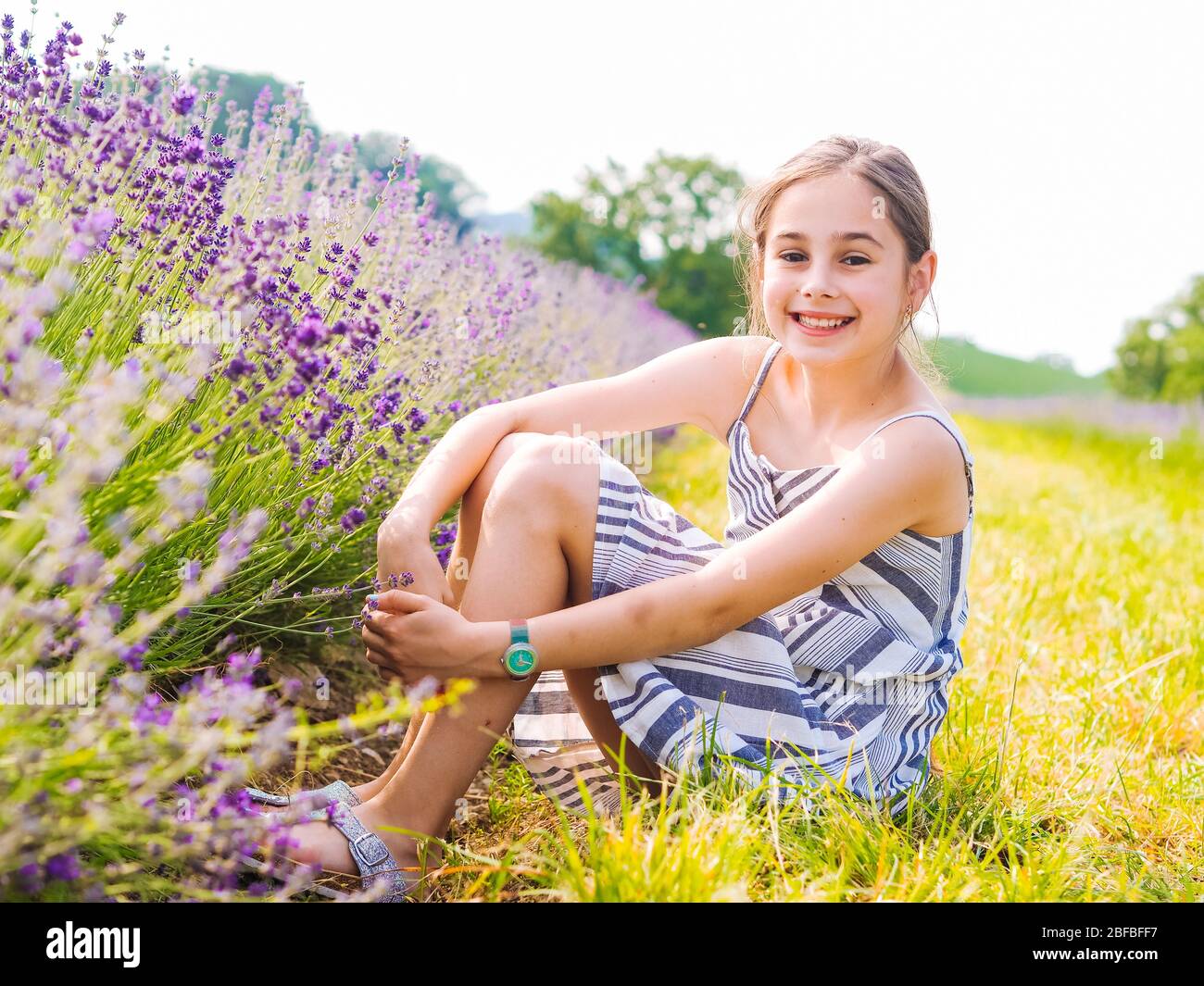 Kleines Mädchen im Kleid zwischen Lavendelfeldern in der Provence sitzen. Violette Lavendelfelder, die im Sommer in der Sonne blühen. Meer von Fliederblumen Landschaft. Bunc Stockfoto