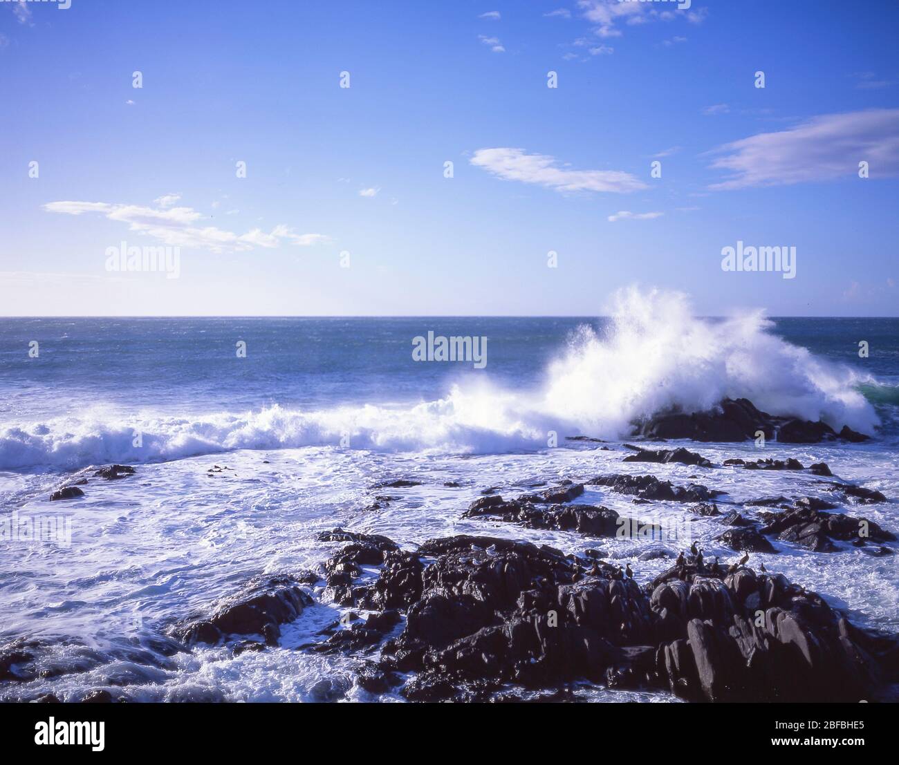 Wellen brechen an der Küste, Kaikoura Küste, Kaikoura, Canterbury Region, Südinsel, Neuseeland Stockfoto