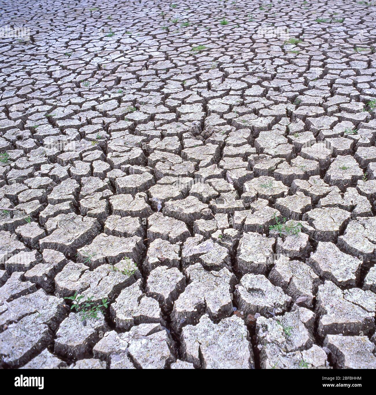 Trockene, rissige Erde, Lanzarote, Kanarische Inseln, Spanien Stockfoto