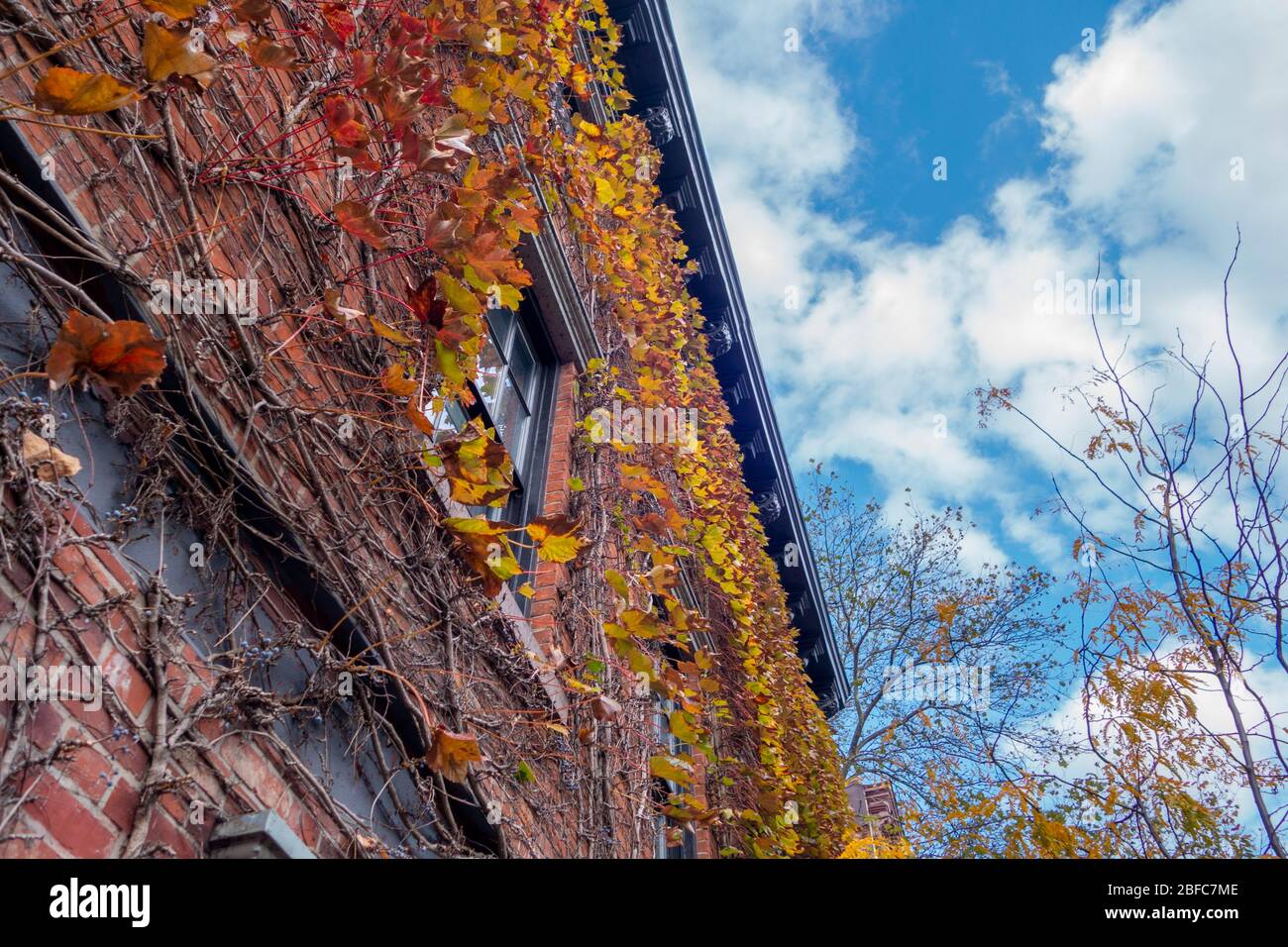 Reihen Sie historische Backsteingebäude in einer der ikonischen Straßen in einem Viertel von New York City Stockfoto