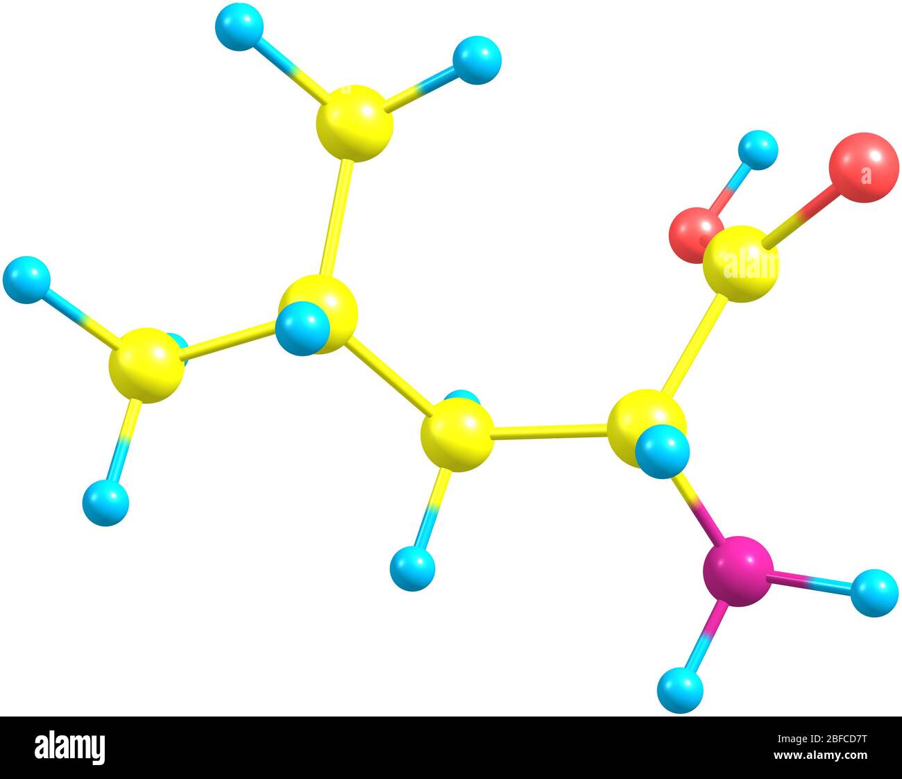 Leucin, Leu, ist eine verzweigtkettige Alpha-Aminosäure, die aufgrund der Isobutylseitenkette hydrophobe klassifiziert wird Stockfoto