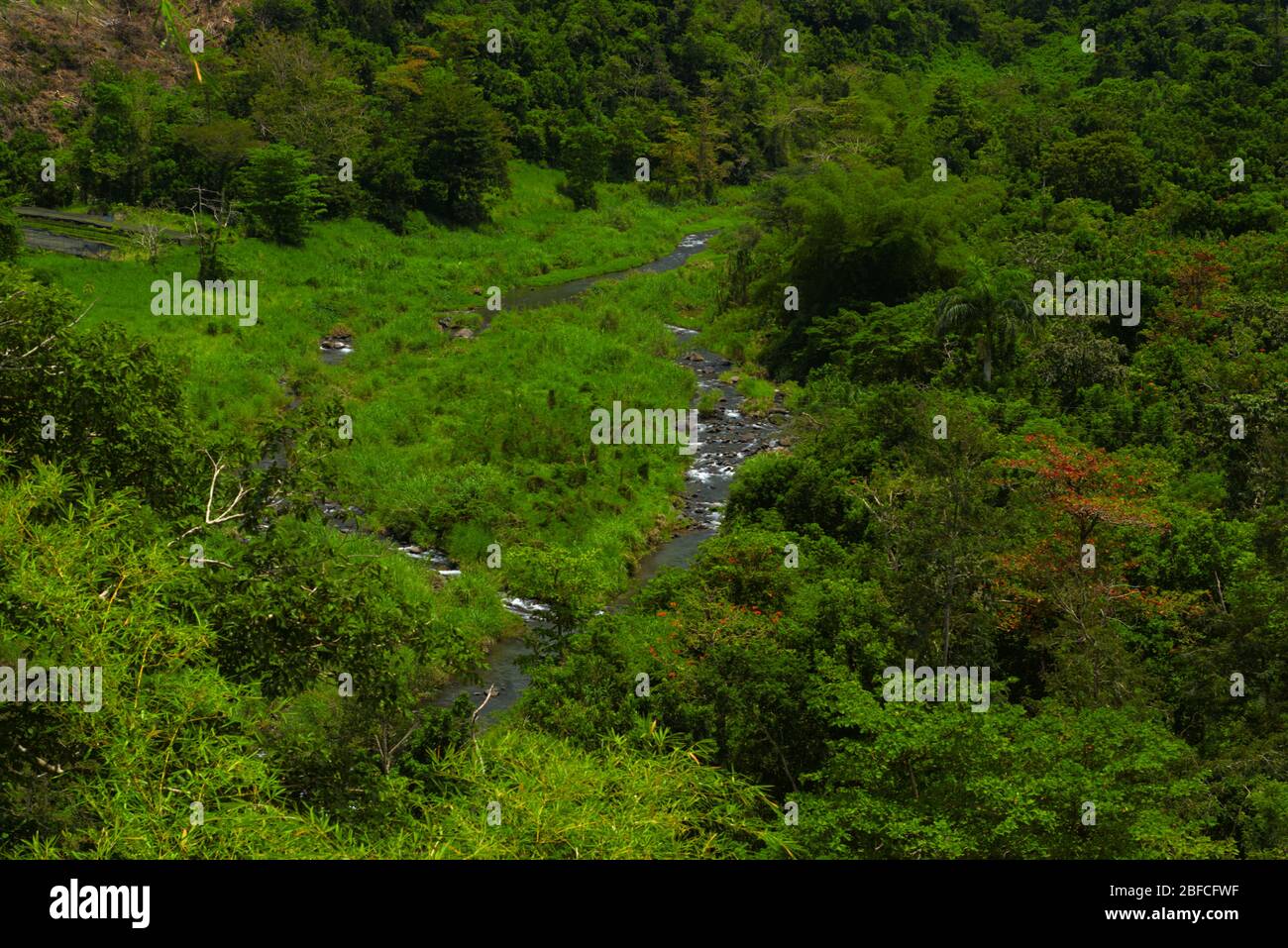 Grenze Morovis-Ciales Stockfoto