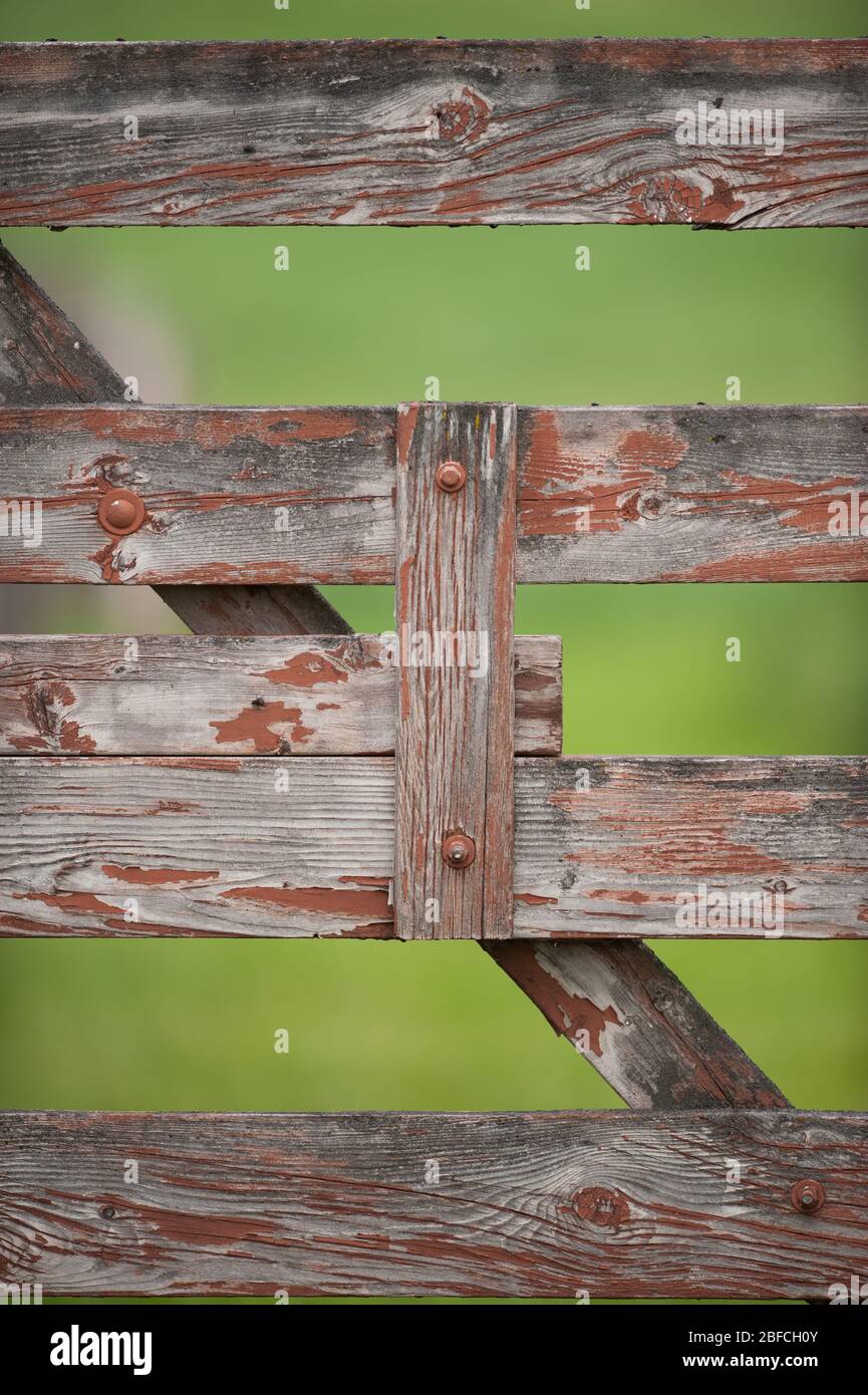 Holzzauntor mit Holzmaserung und abblätternder roter Farbe Im ländlichen Raum auf Hobby-Bauernhof aus horizontalen und Vertikale Holzplanken vertikales Format Stockfoto
